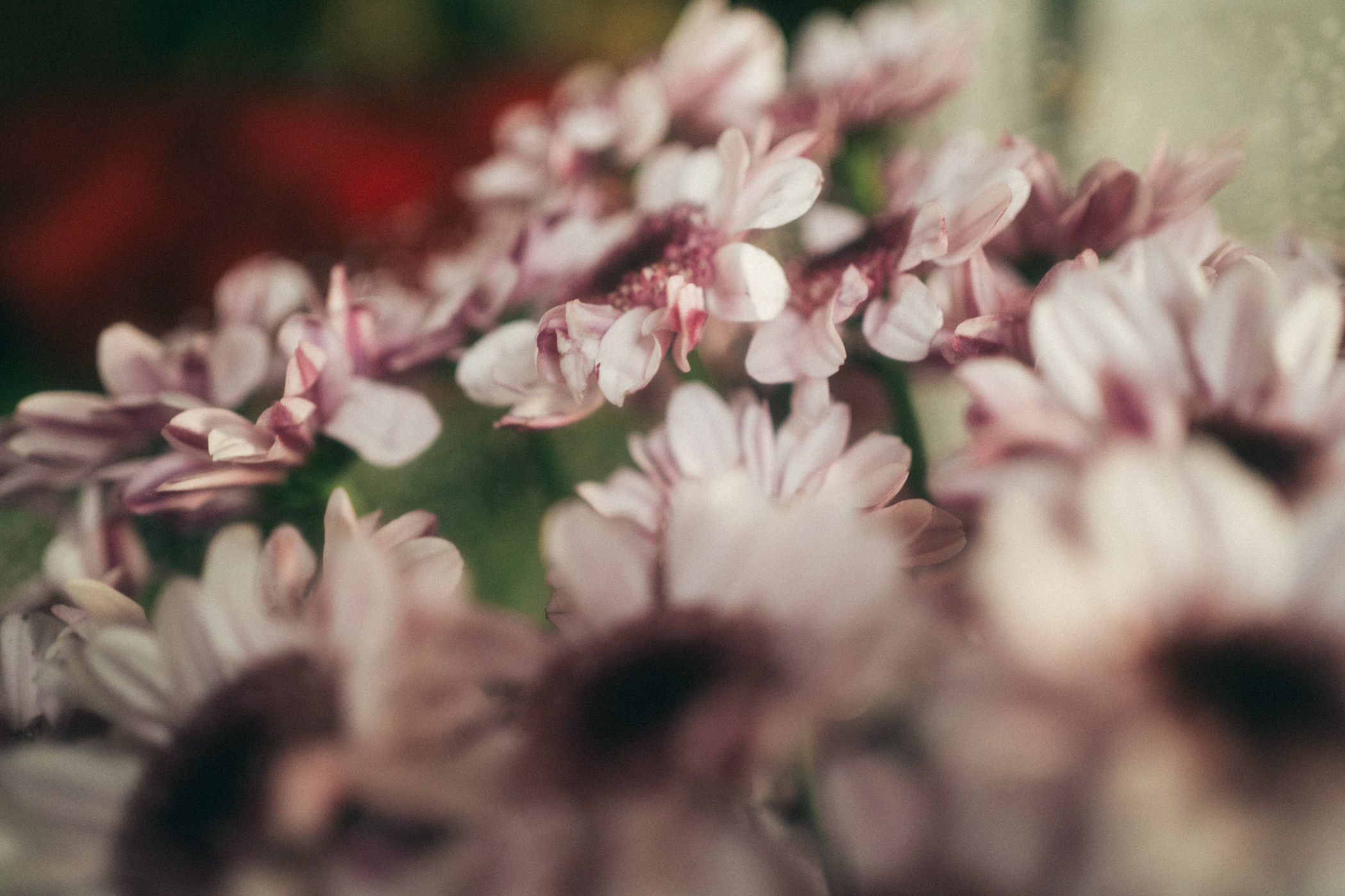 Port42 (07.07.23). Фотограф на любое событие в Кемерово