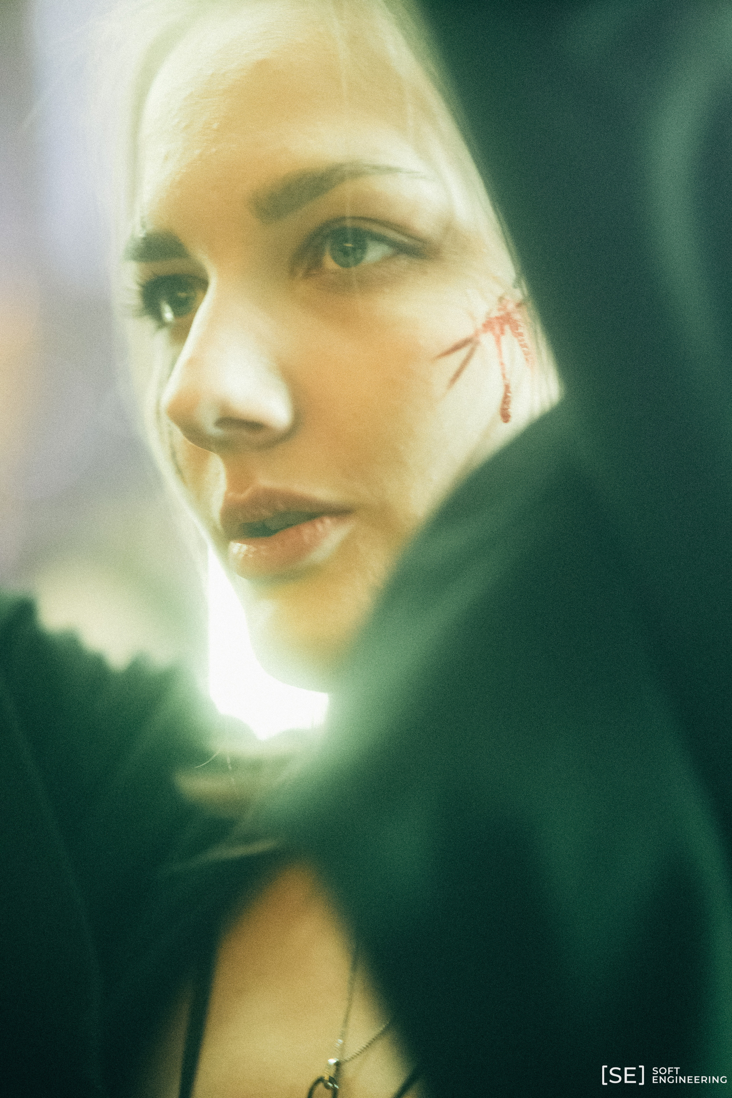 День Программиста Софт Инжиниринг 2023. Фотограф на любое событие в Кемерово