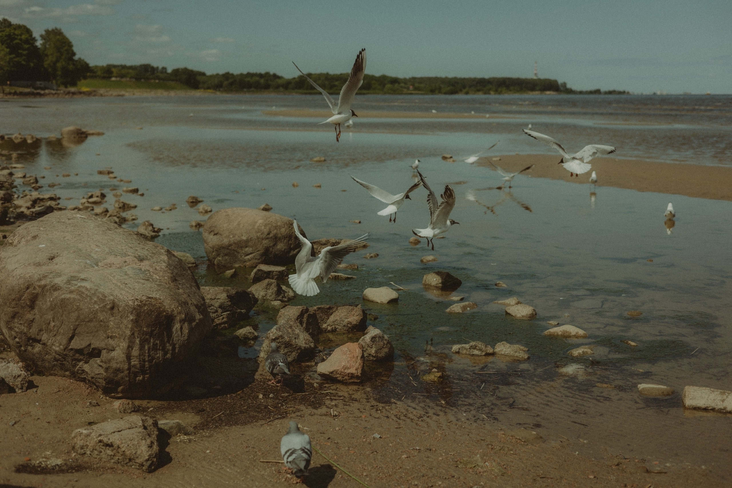 Питер. Девочка и море. Фотограф Мальнева Юлия в Липецке, в Москве. Фотостудия MARU в Липецке