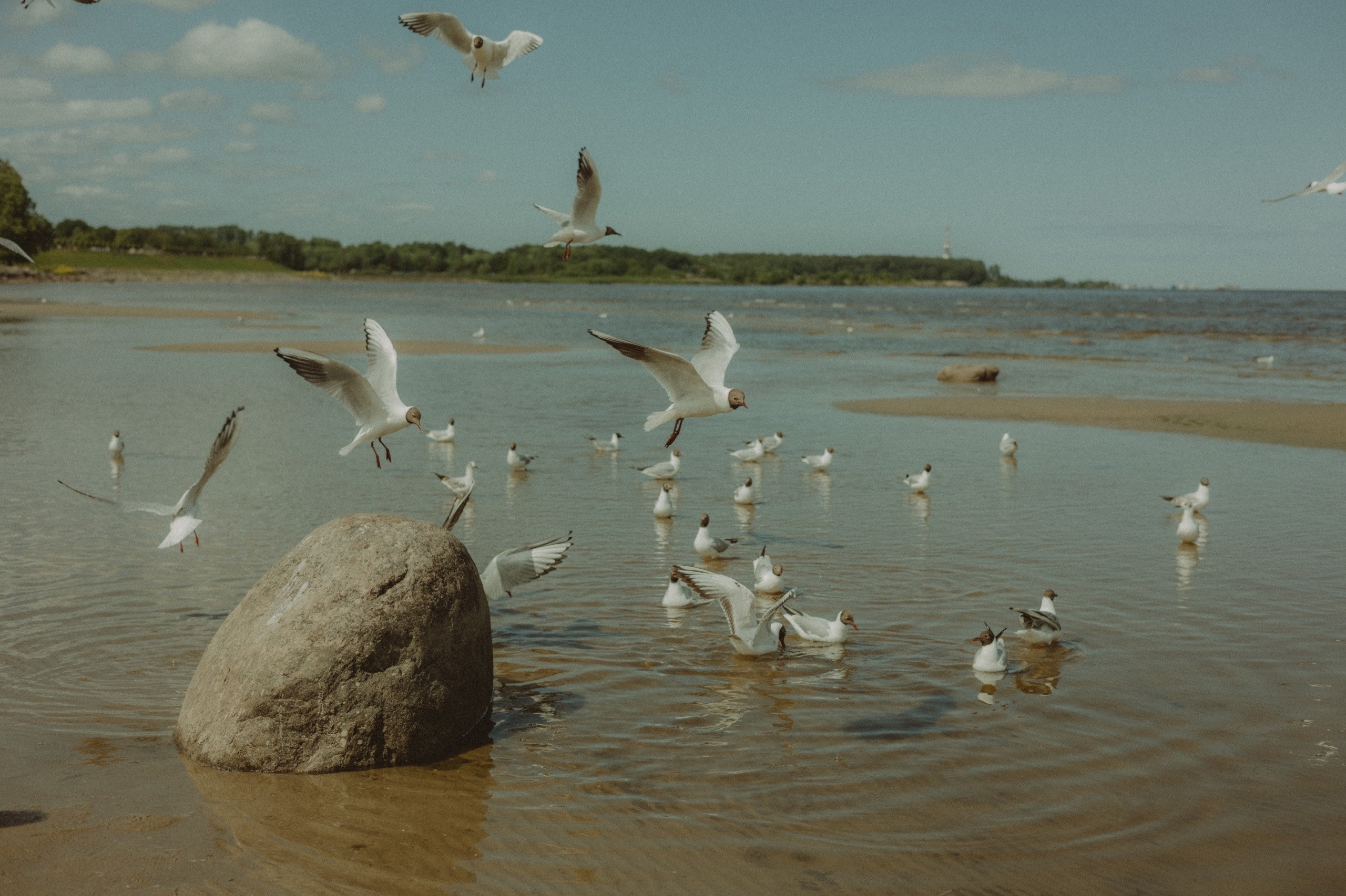 Питер. Девочка и море. Фотограф Мальнева Юлия в Липецке, в Москве. Фотостудия MARU в Липецке