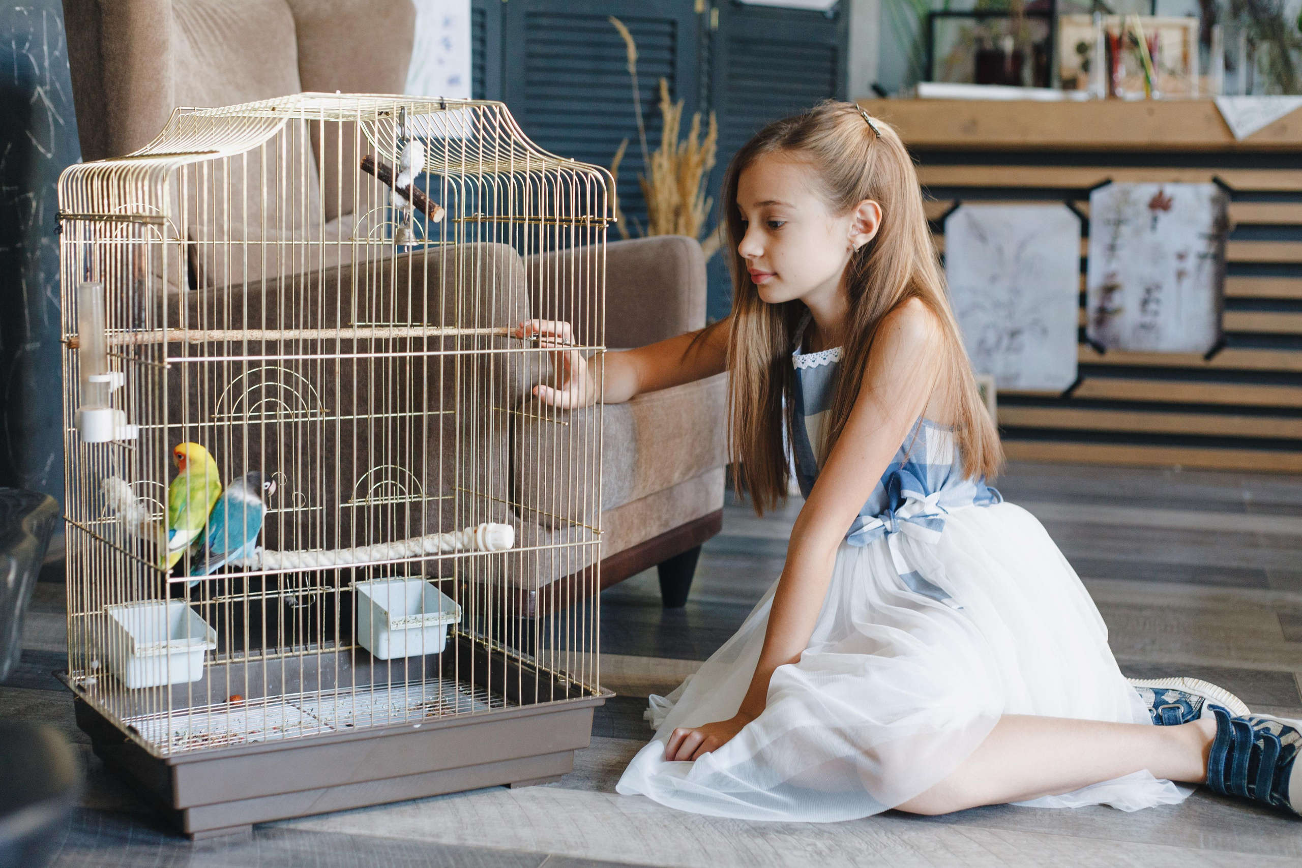 В ожидании. Семейная. Фотограф Мальнева Юлия в Липецке, в Москве. Фотостудия MARU в Липецке