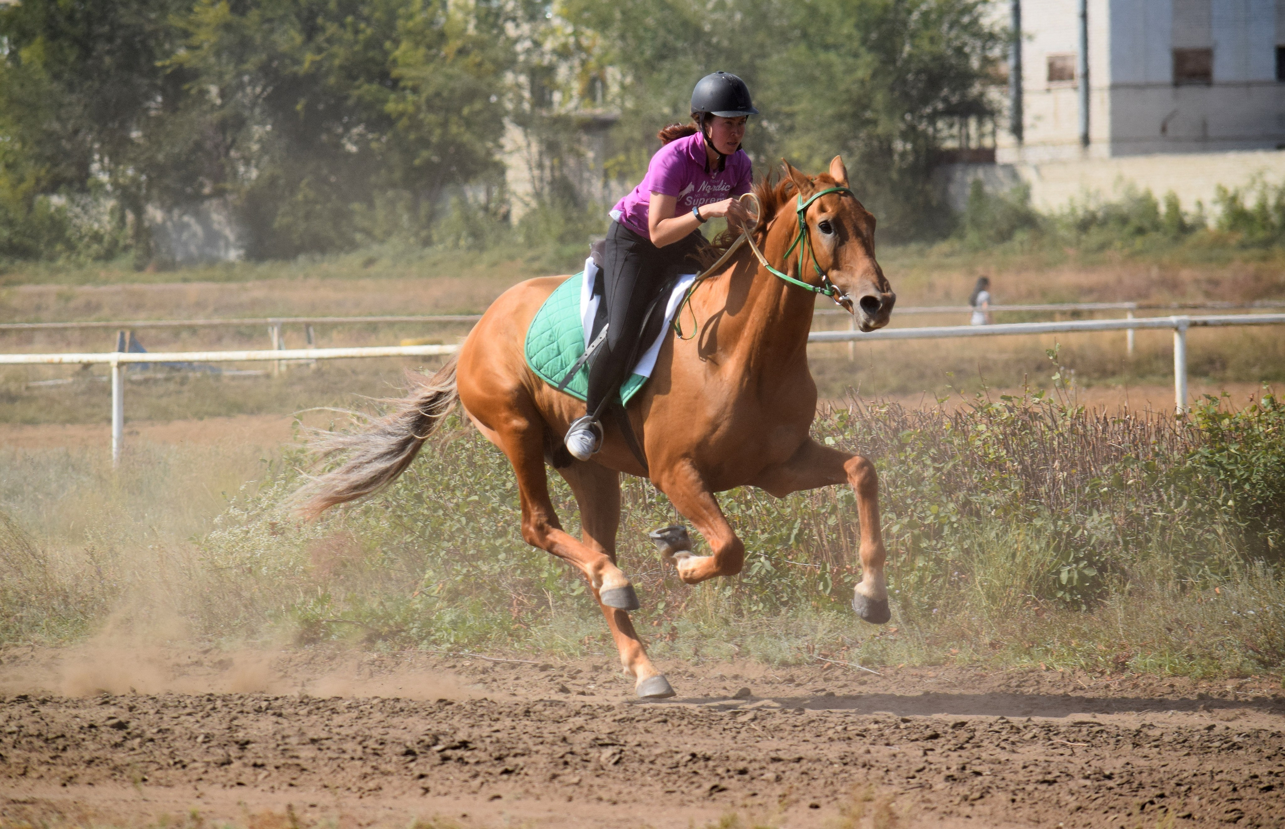 Кубок Губернатора, ипподром Саратов, 2019 г. Конный фотограф в Саратове Юлия Иванова