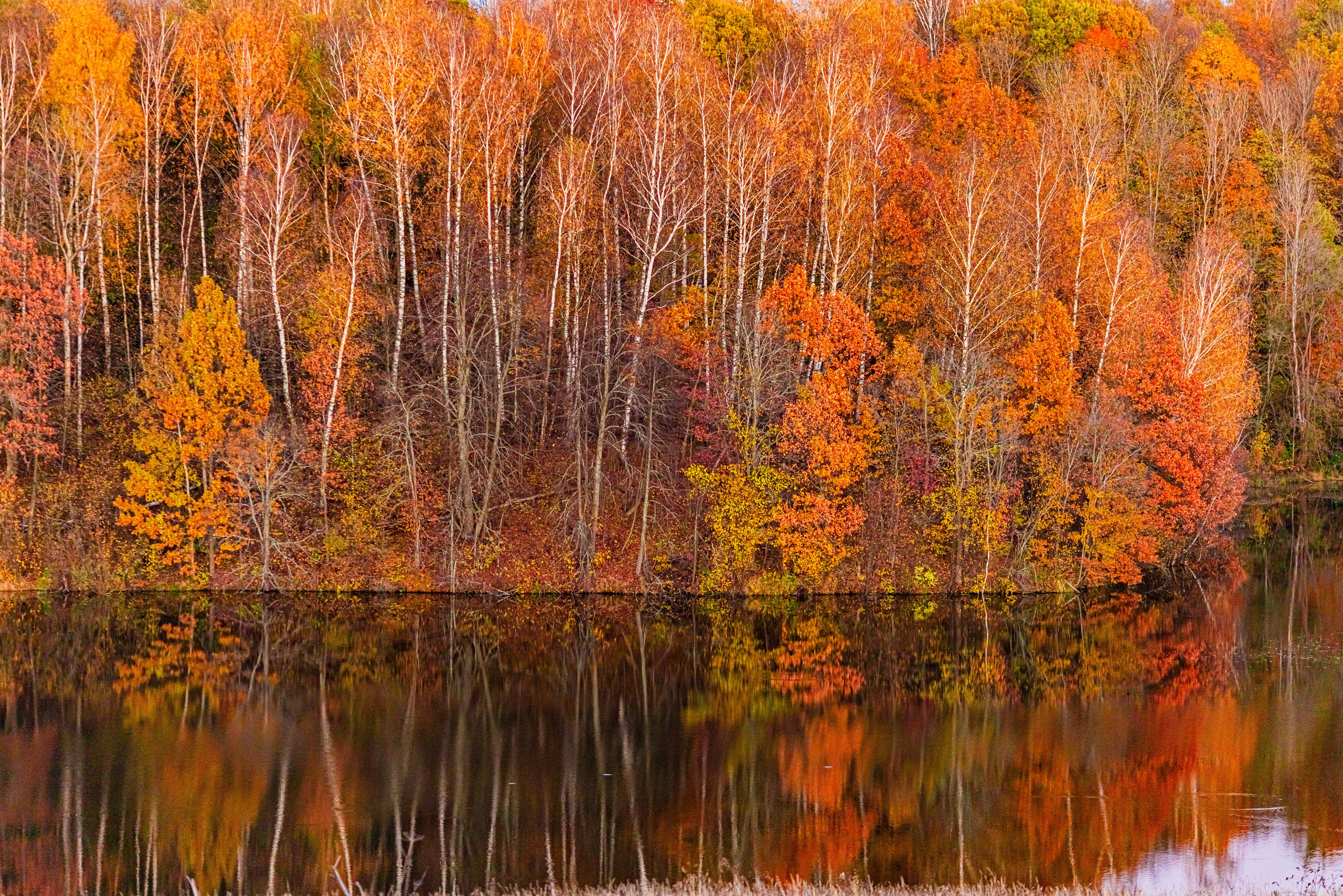 Landscape photography. Photographer Kirill Sergeev | Moscow