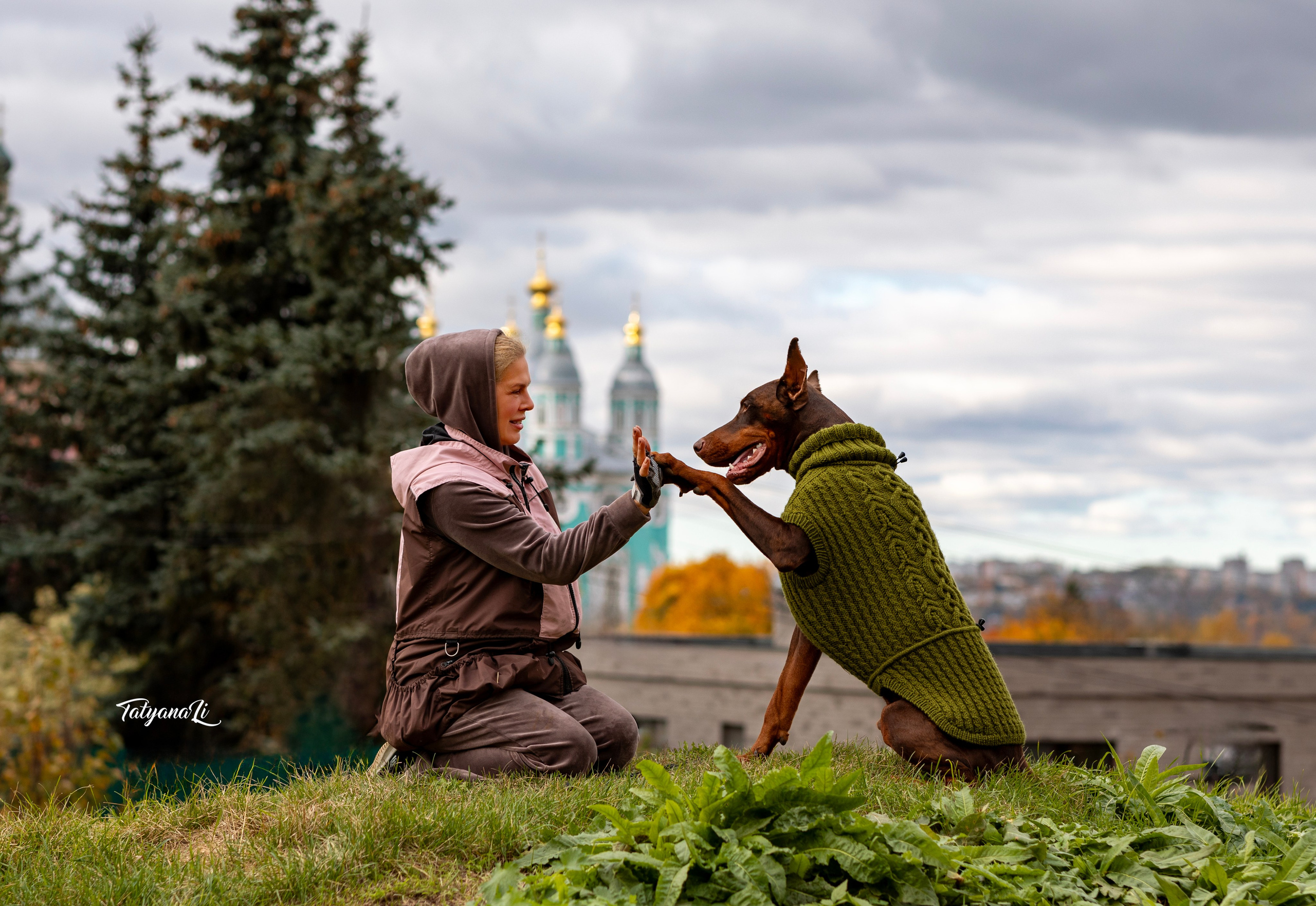 Доберман. Фотограф — анималист Татьяна Ли