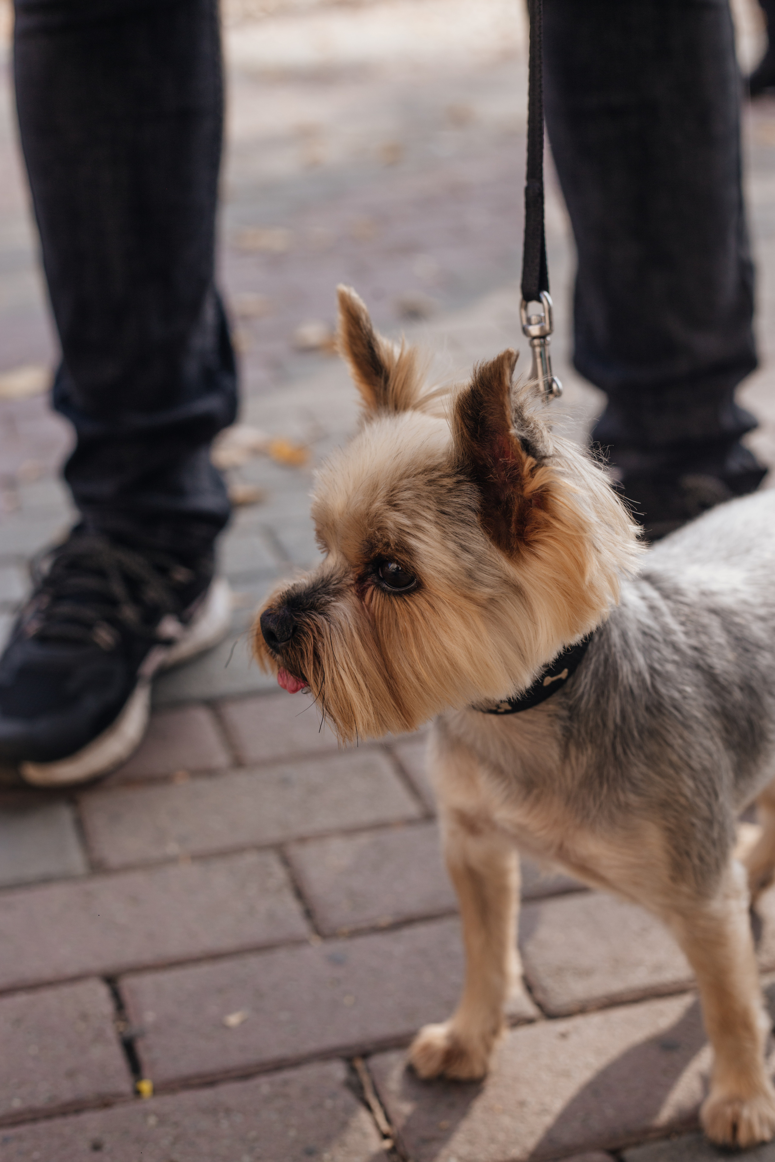 Предсвадебная LoveStory пары. Свадебный фотограф Челябинск Зиненко Виктория