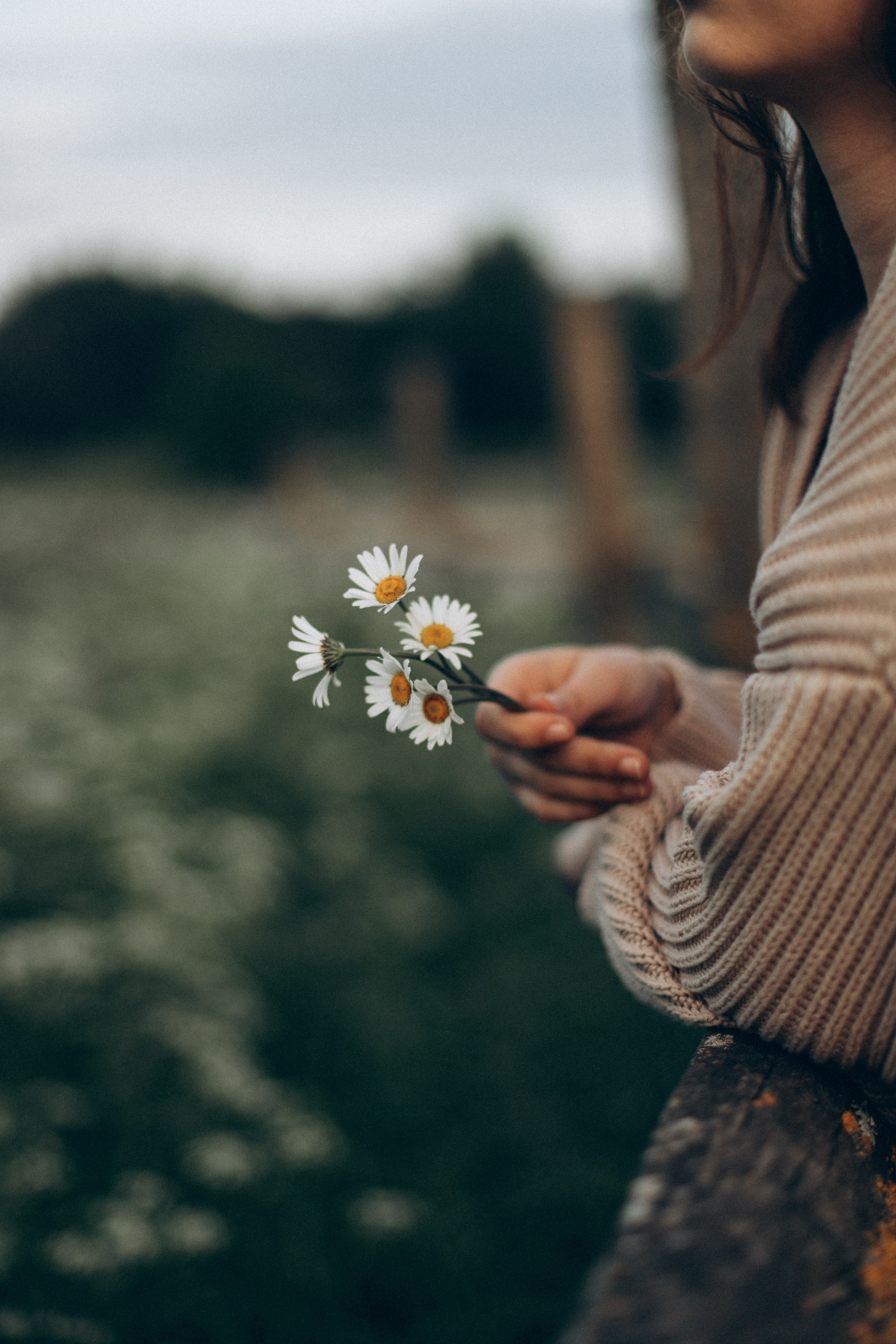 Что-то на закатном. Репортажный и детский фотограф в Минске