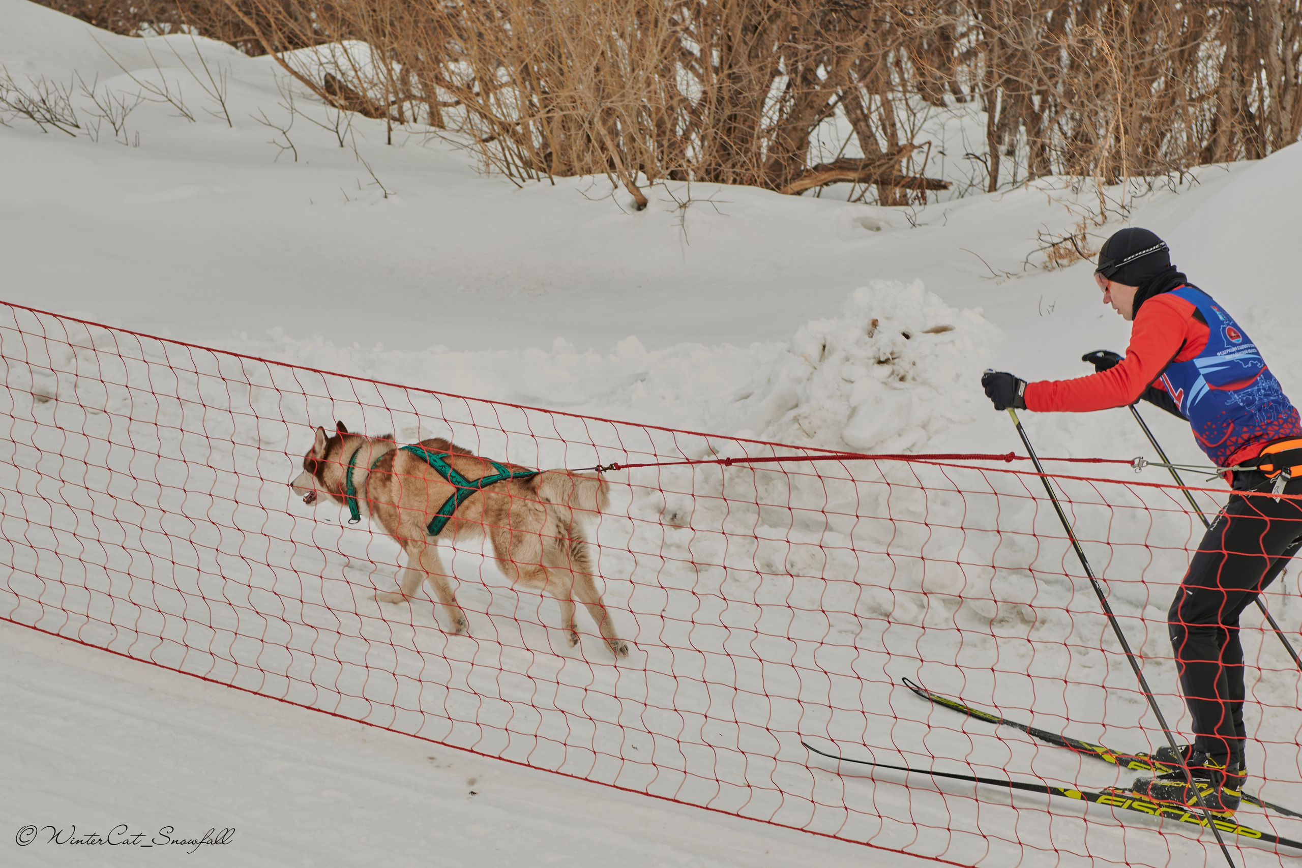 Дзяблу 30.03. Портретный и репортажный фотограф в Магадане Андрей Нефедов WinterCatPhoto