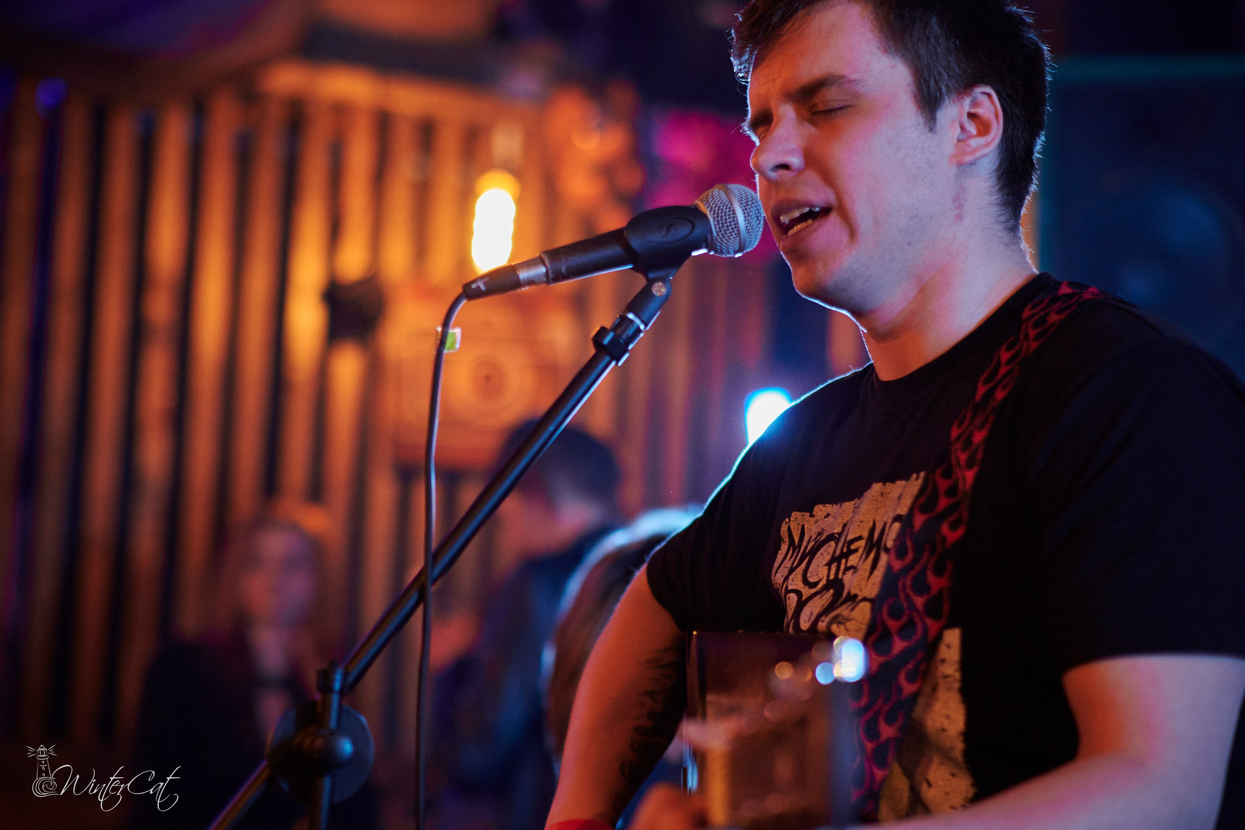 День Рождения Честер Четыре Года. Портретный и репортажный фотограф в Магадане Андрей Нефедов WinterCatPhoto