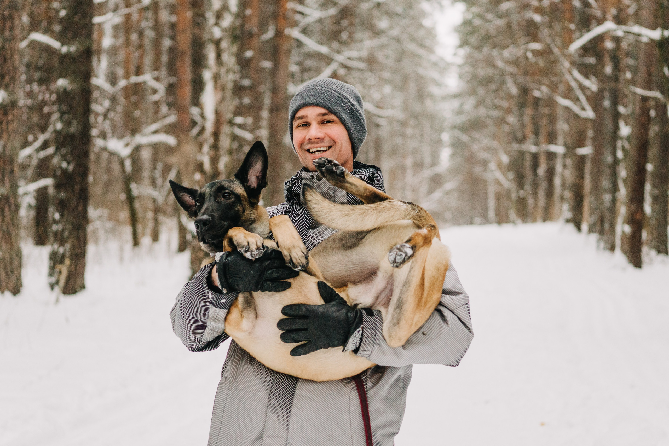 Life with dog. Saamill