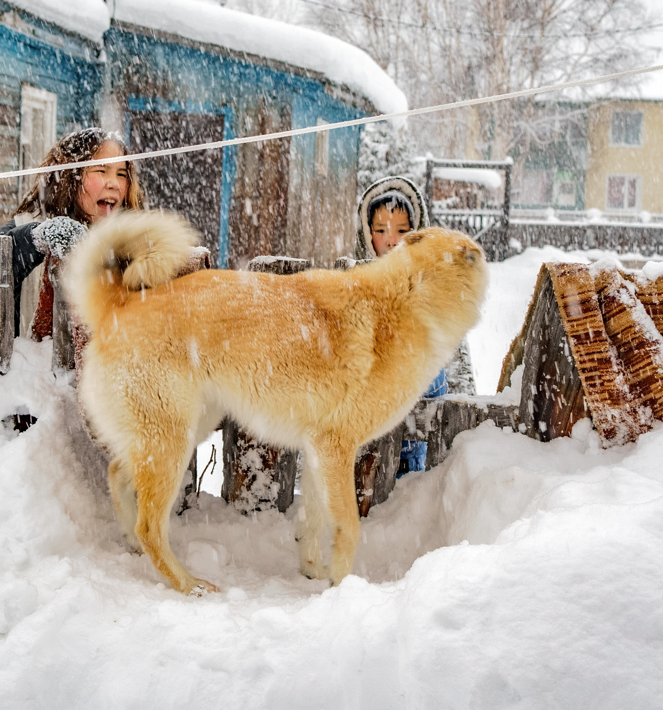 Разное. Фотограф Ворошилов Дмитрий. Эссо. Камчатка