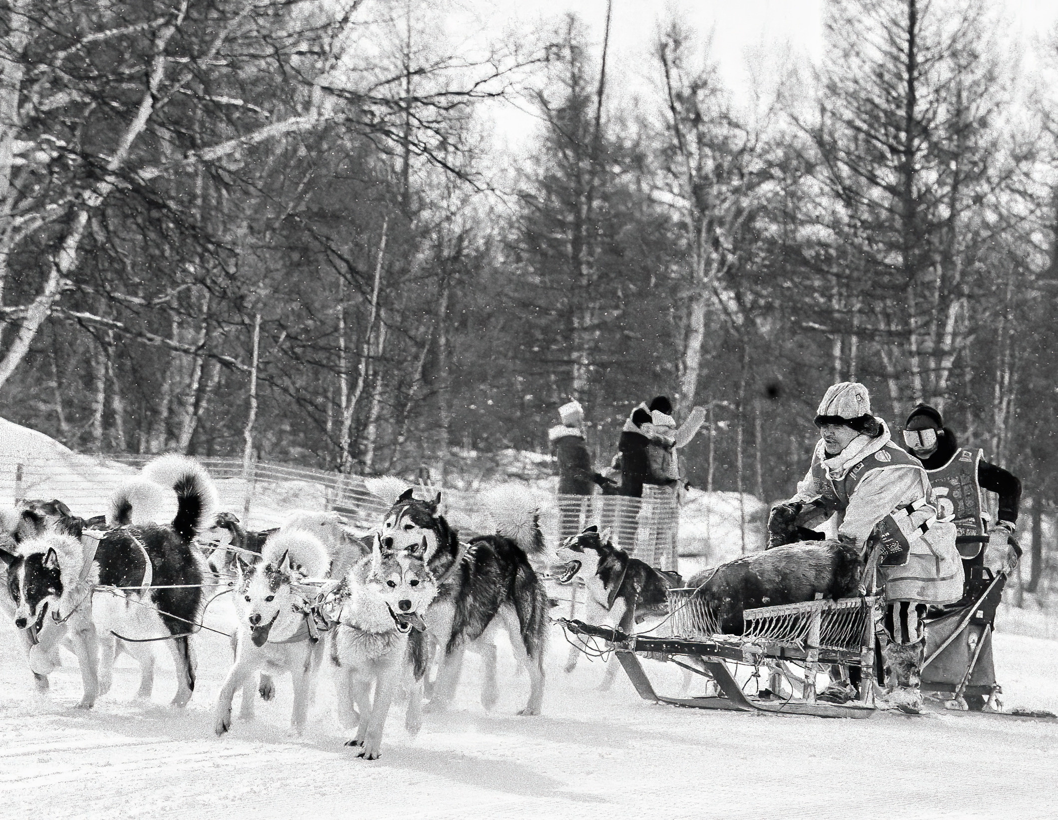 Разное. Фотограф Ворошилов Дмитрий. Эссо. Камчатка