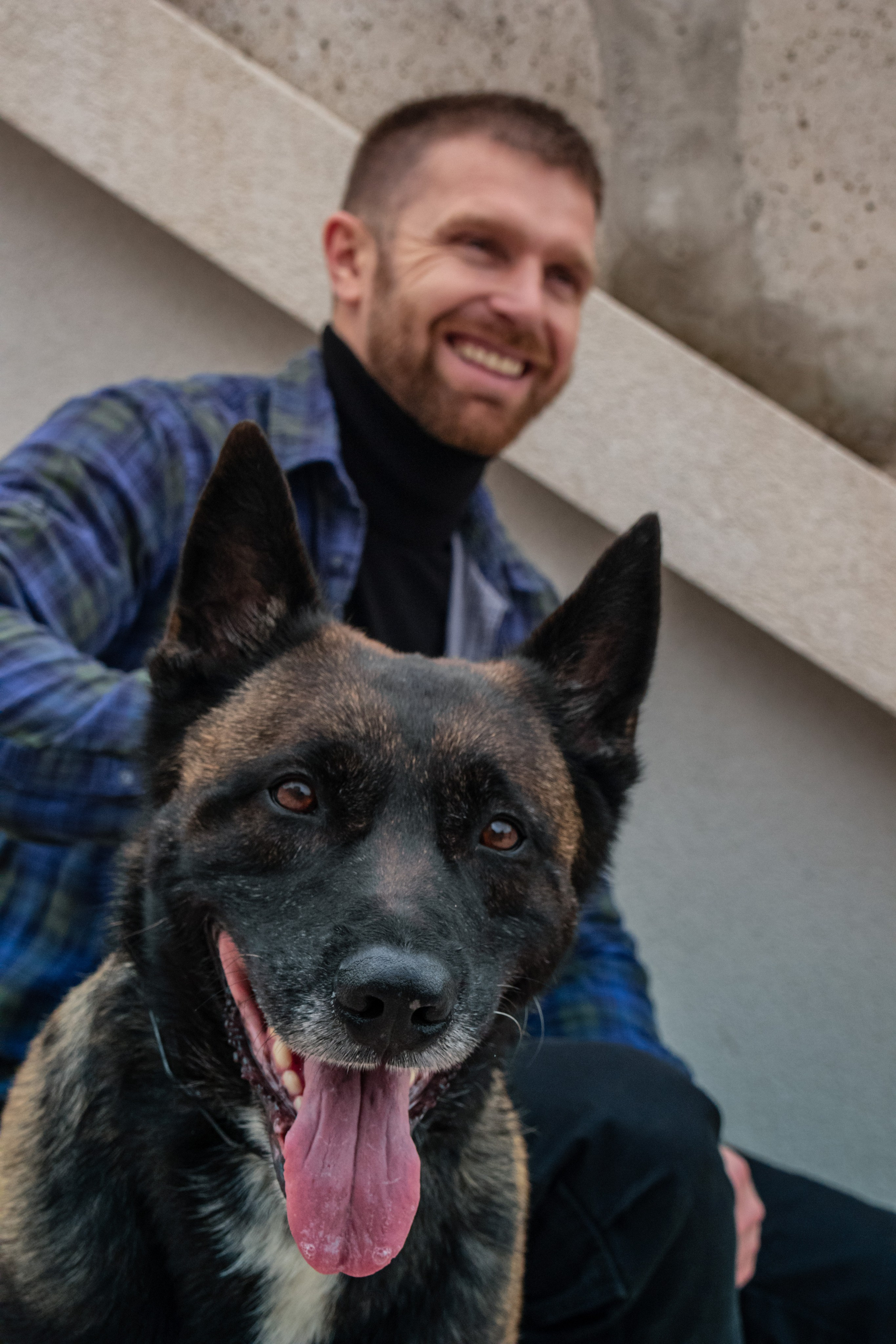 Photoshoot with a dog in Montenegro. Portrait photographer in Tivat Montenegro Katerina Kirsanova