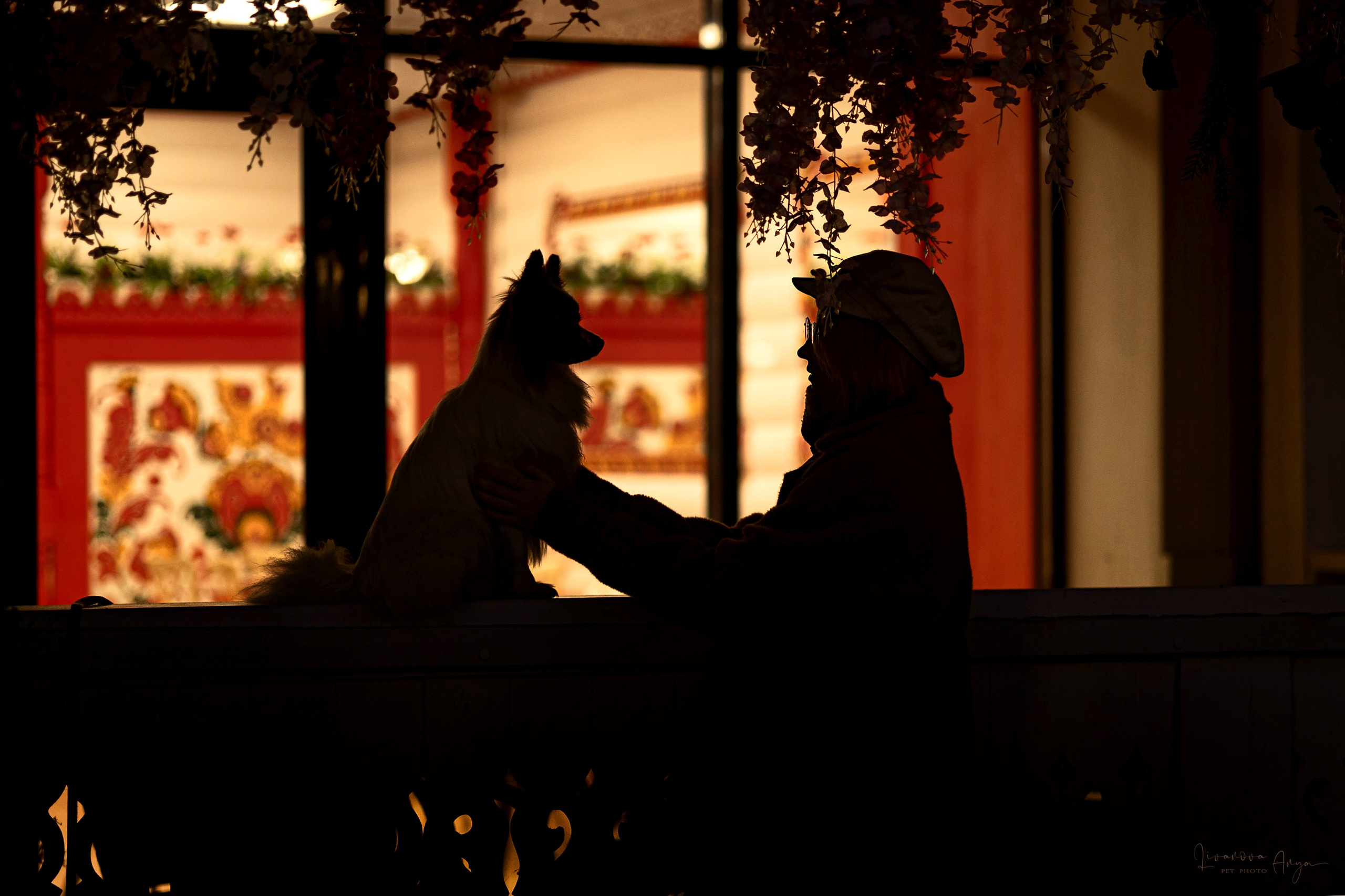 Хьюстон. Фотограф анималист Аня Ливанова | Рыбинск