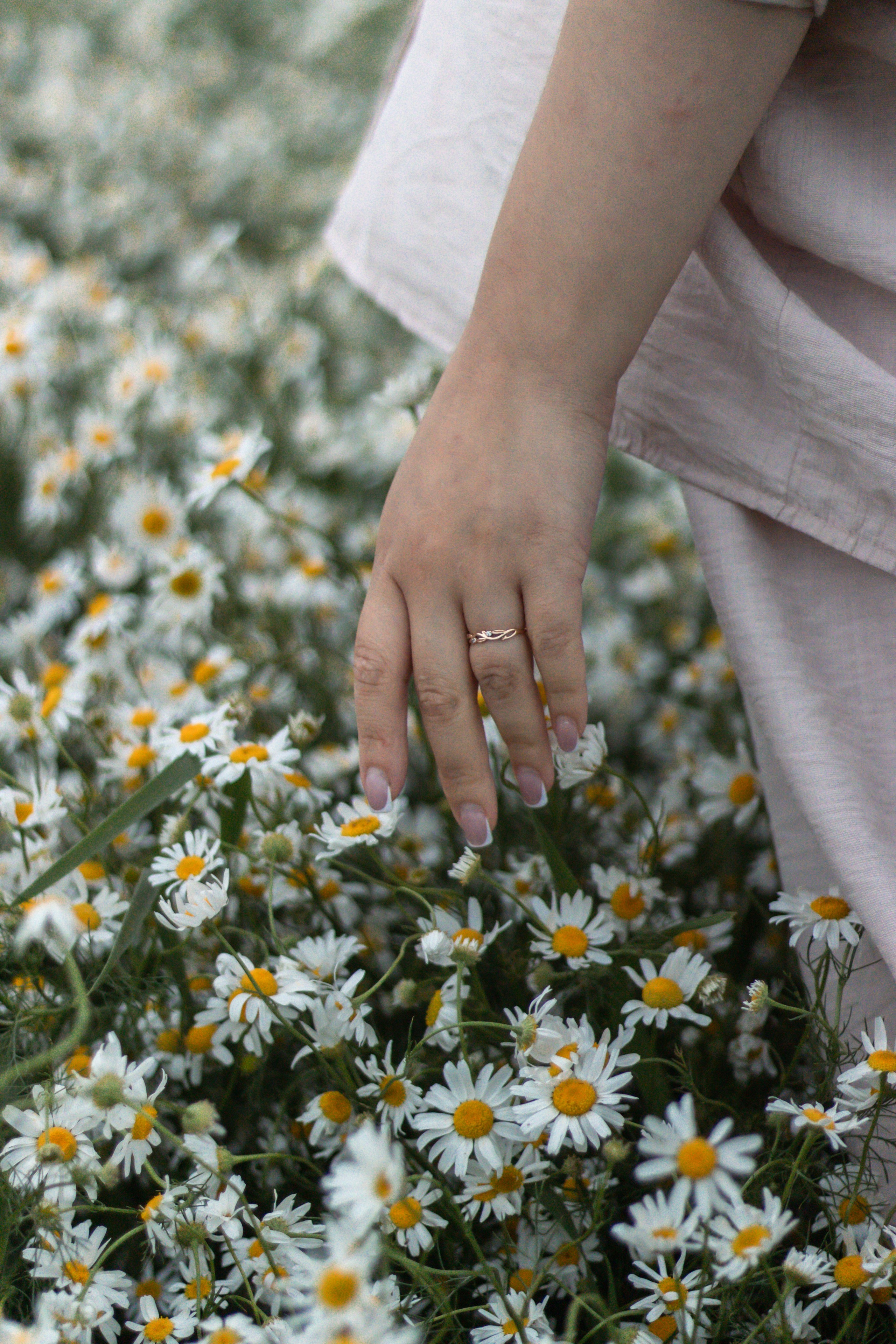 Диана. Семейный фотограф