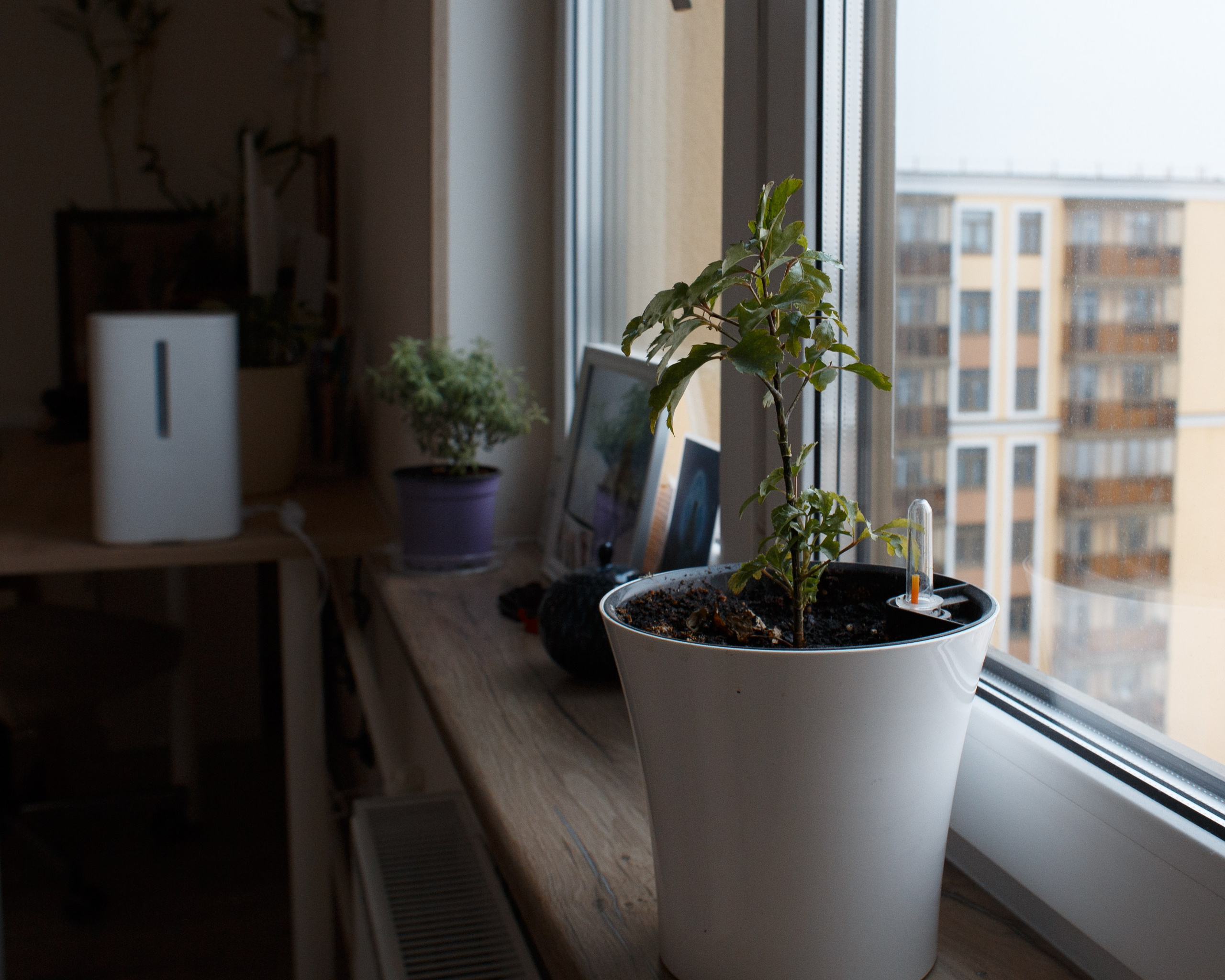 Наташа и Никита. Портретный фотограф СПб — Ира Волкова