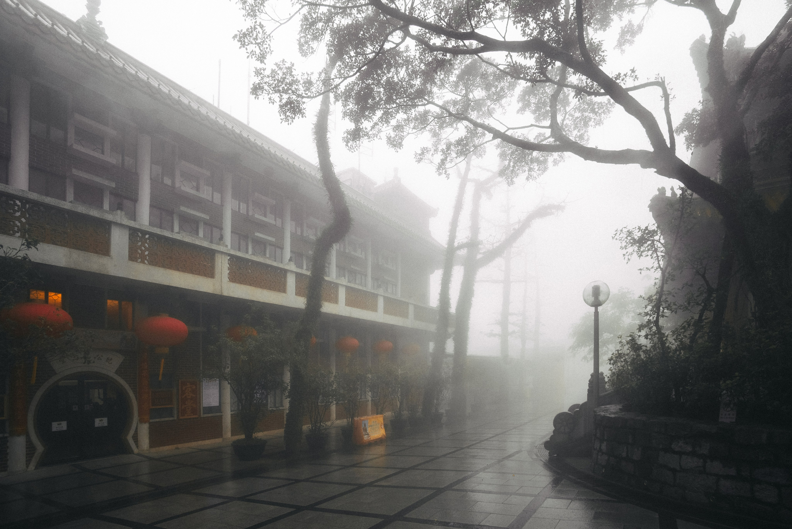 Уличная фотография. Эд Тихонов. Городской фотограф