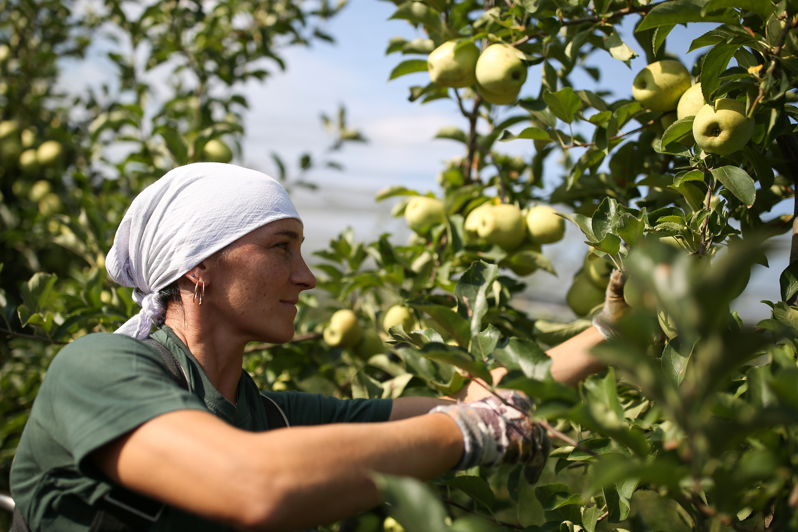 Агро. Тимкив Виталий репортажный фотограф в Краснодаре