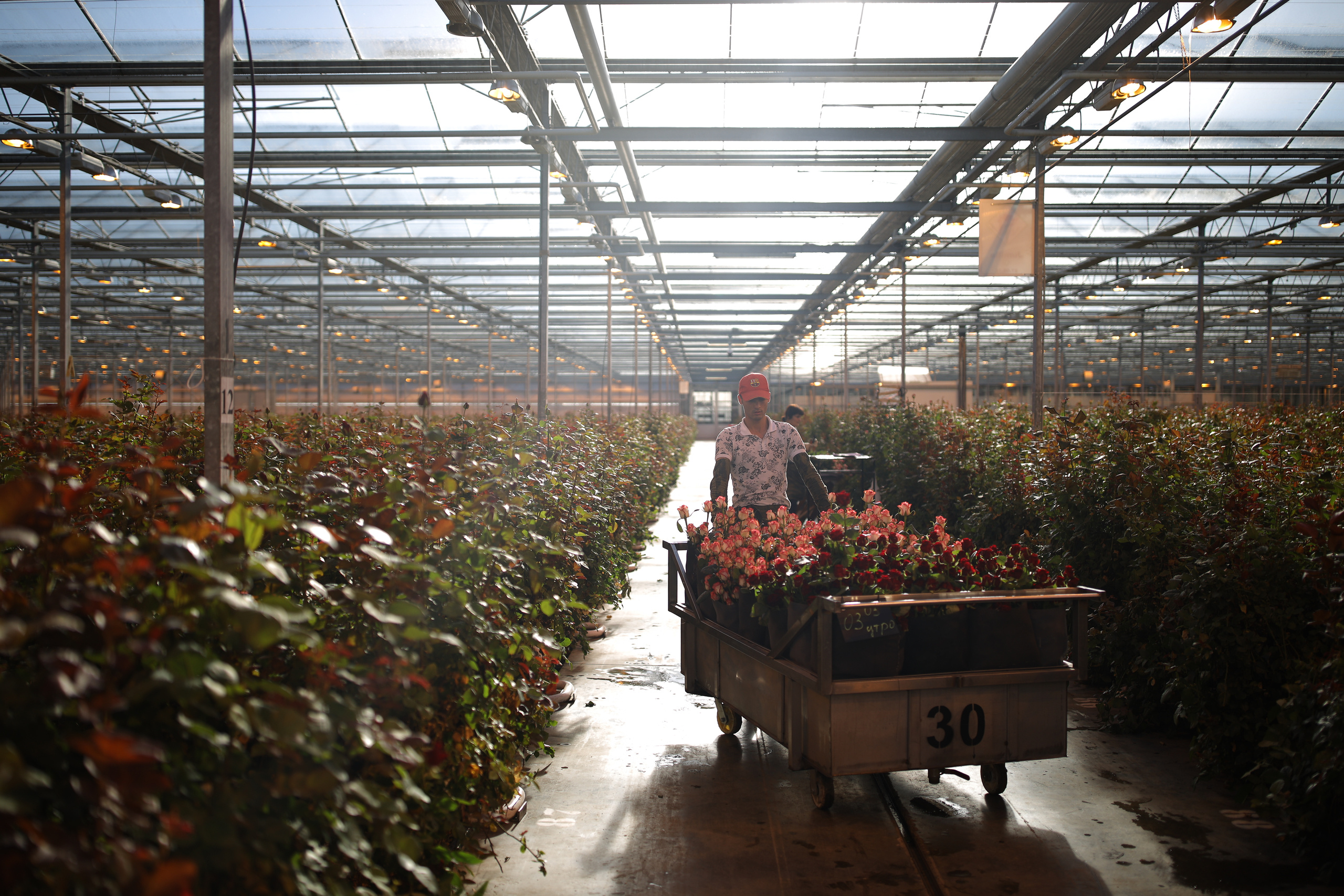 Агро. Тимкив Виталий репортажный фотограф в Краснодаре