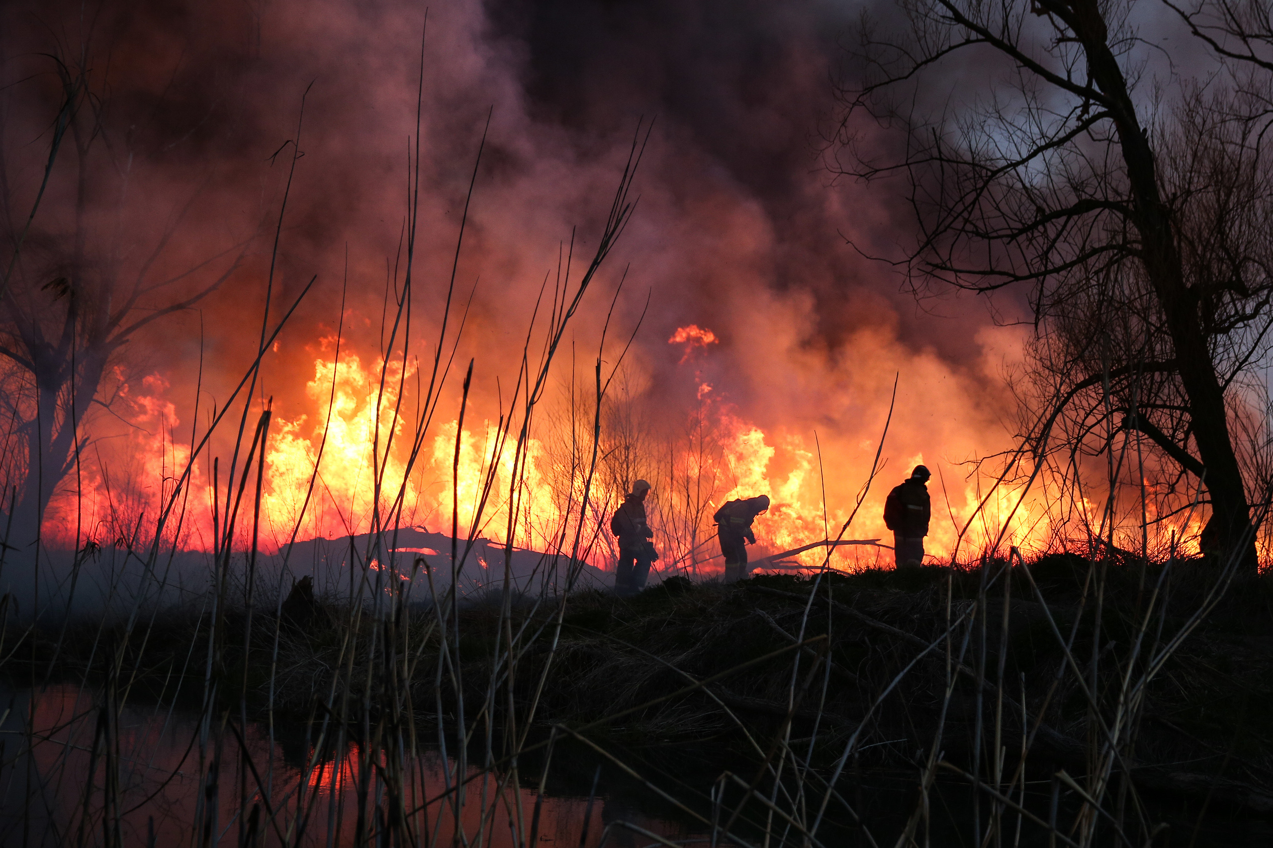 Репортаж. Тимкив Виталий репортажный фотограф в Краснодаре