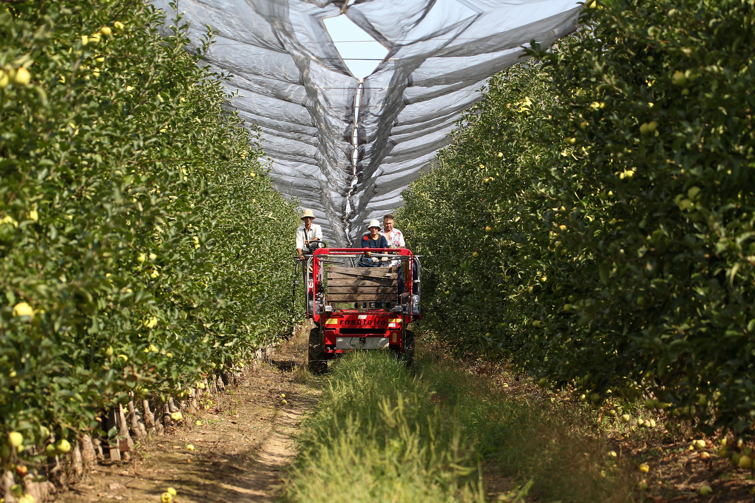 Агро. Тимкив Виталий репортажный фотограф в Краснодаре