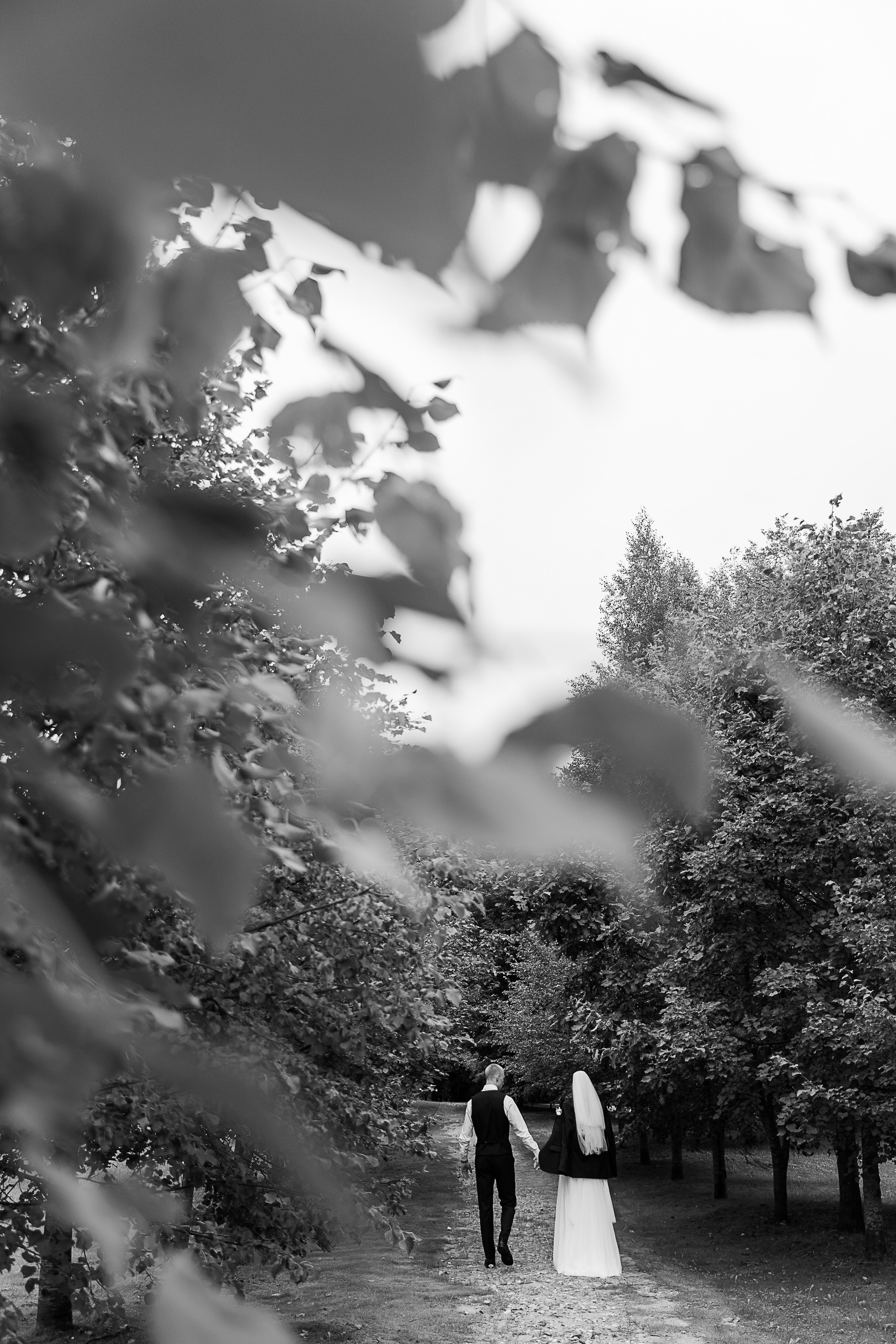 Свадьба. Свадебный и семейный фотограф в Твери и Тверской области