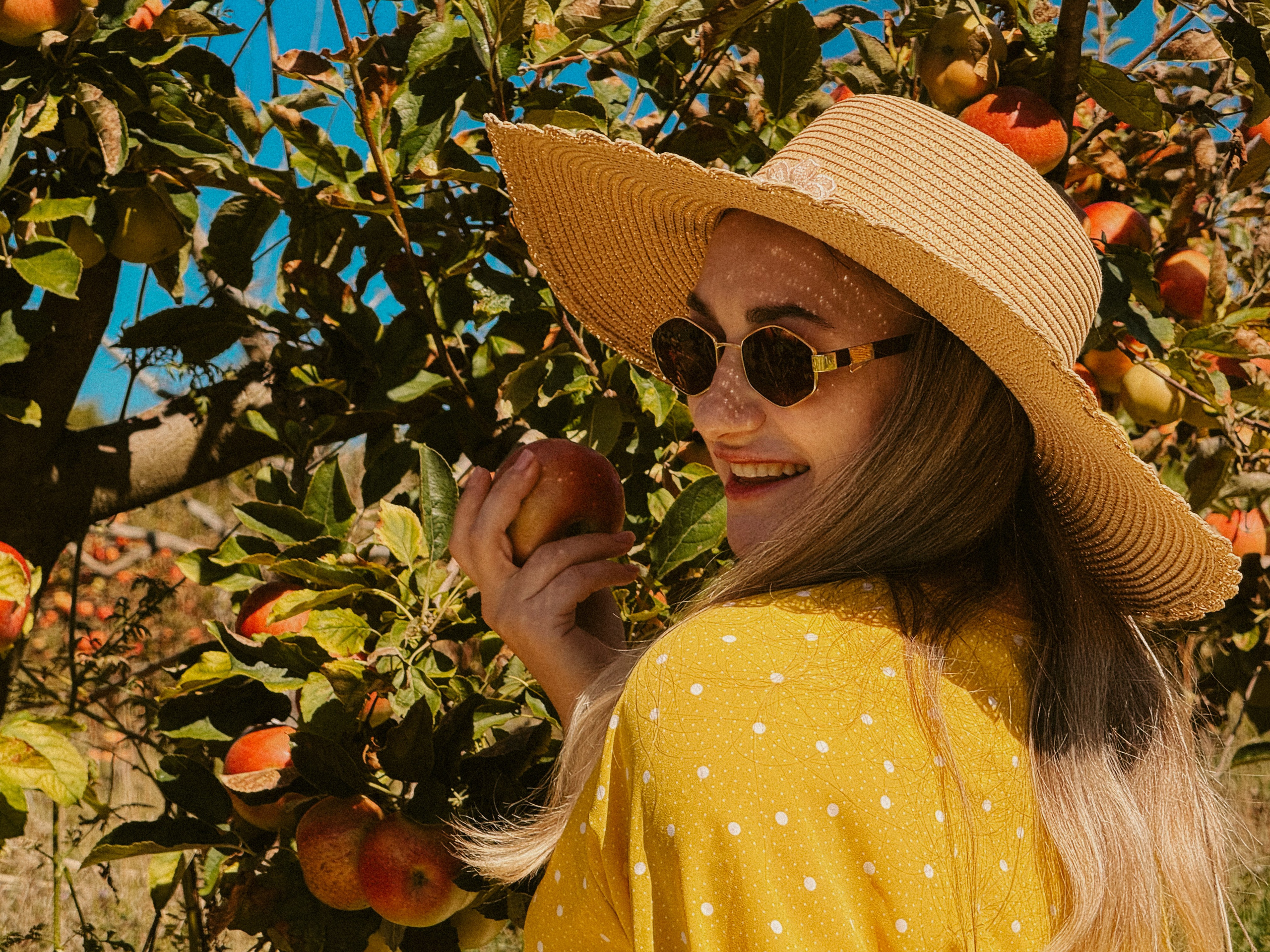 Ксюша Яблоки Сад. Inga Simonova | Семейный и детский фотограф у моря