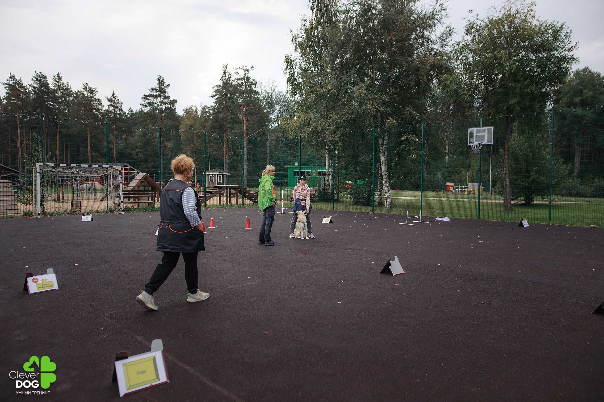 Кинологический лагерь CleverDog, 2024. Фотограф-анималист Mary Mart — Москва, Питер