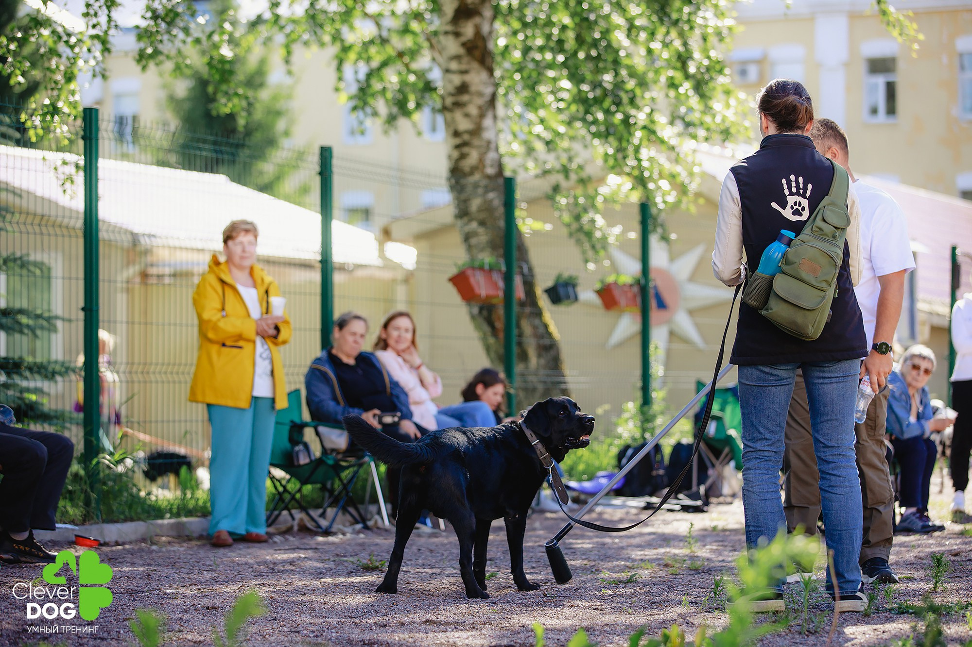 Семинар по поиску запаха с Иваном Ломовым, организатор CleverDog, СПб. Фотограф-анималист Mary Mart — Москва, Питер