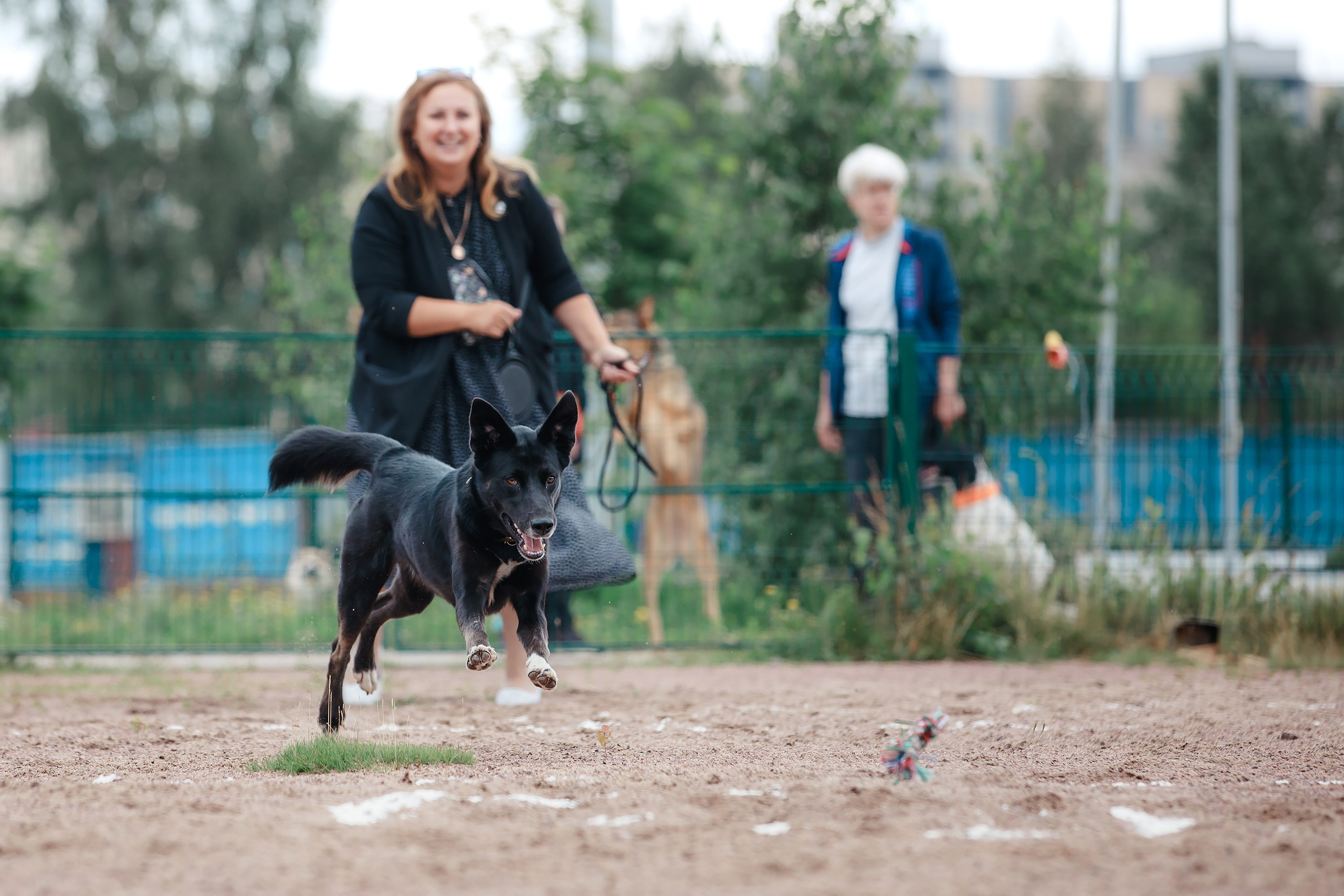 Питч&Гоу + веселые старты. Фотограф-анималист Mary Mart — Москва, Питер