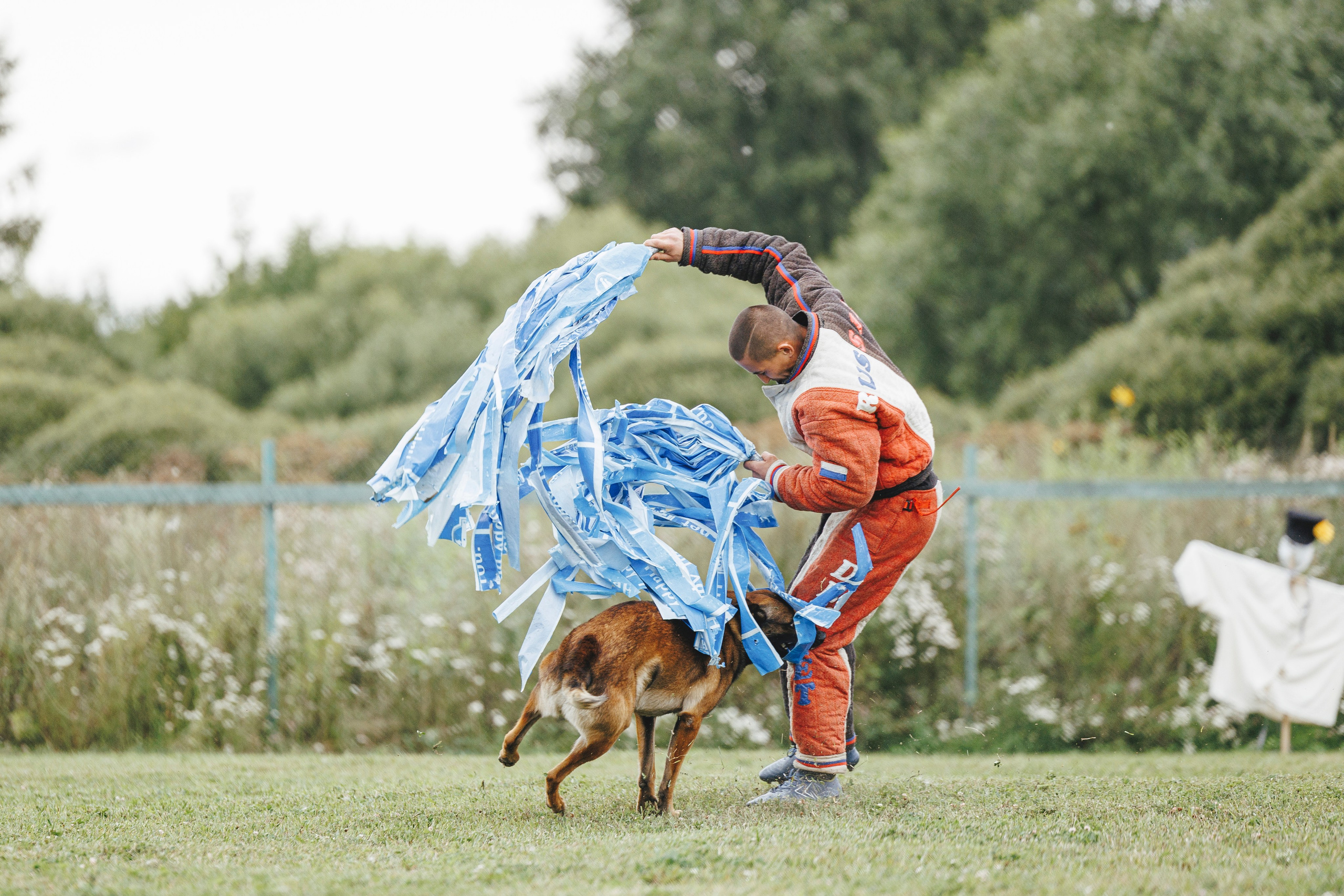 08.08.25-10.08.25 ЧР по мондьорингу г. Вологда. Фотограф-анималист Анна Маринич