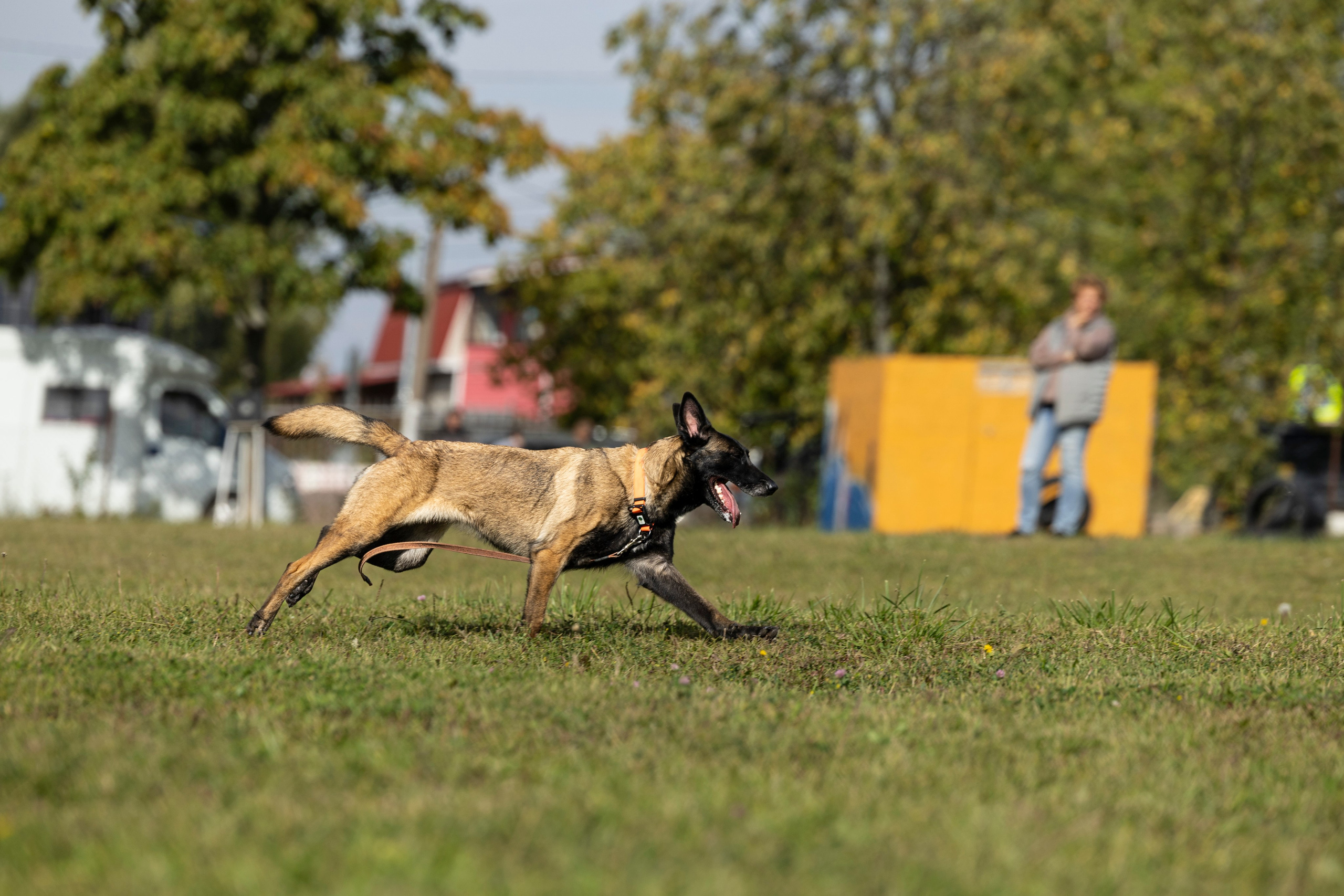 Испытания по Мондьорингу г. Пушкин. Фотограф-анималист Анна Маринич