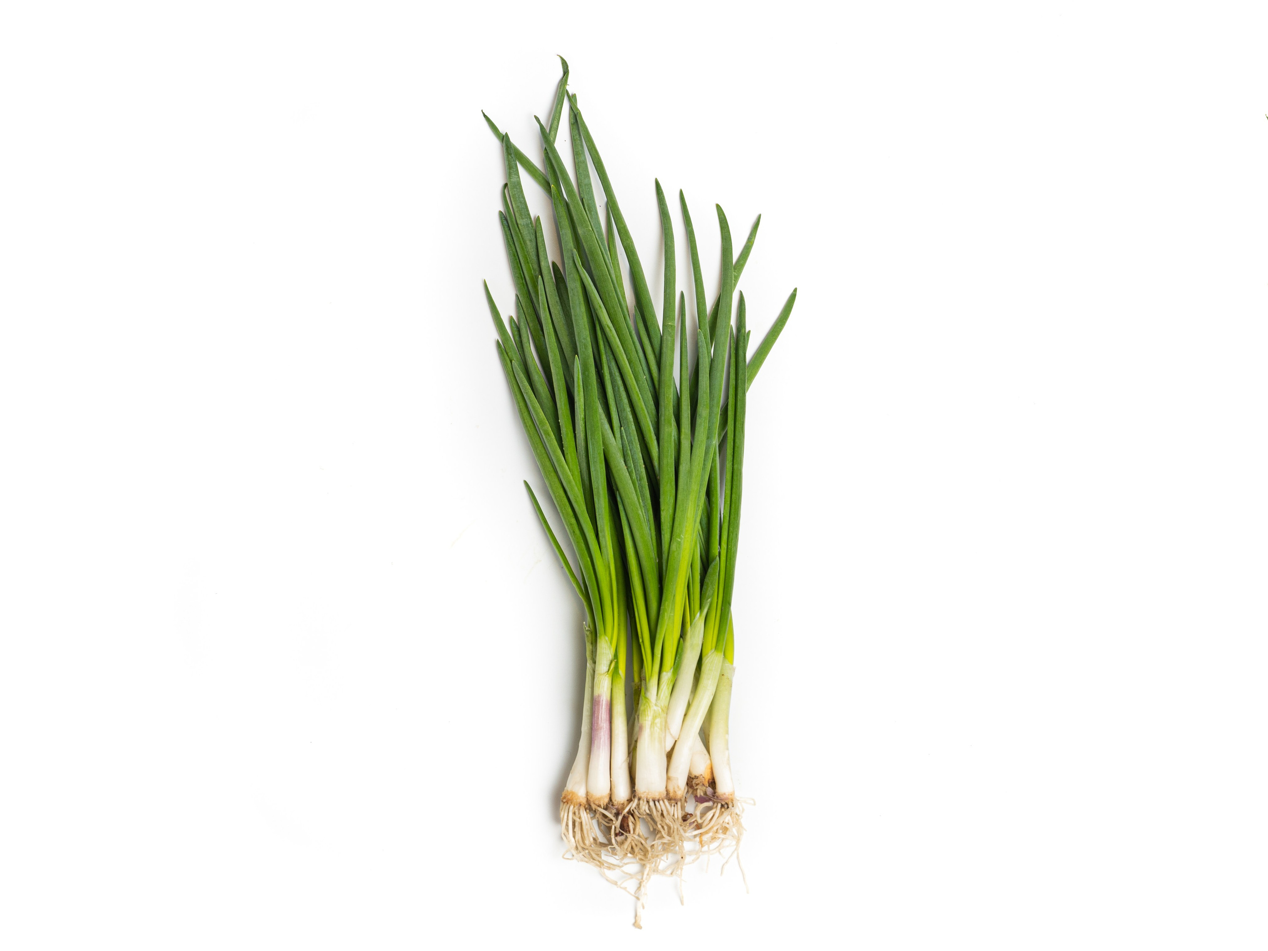 Яндекс Маркет. Предметный и фуд-фотограф в Москве Анна Царенко