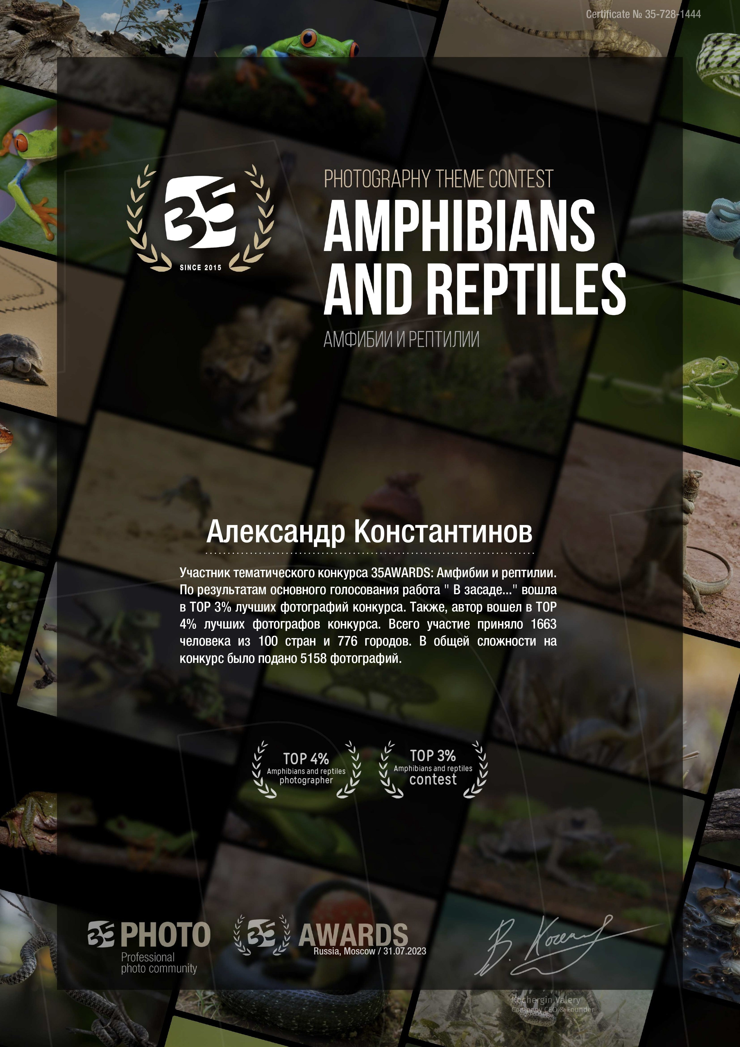 Дипломы, публикации в СМИ. Авторские стильные фотокартины