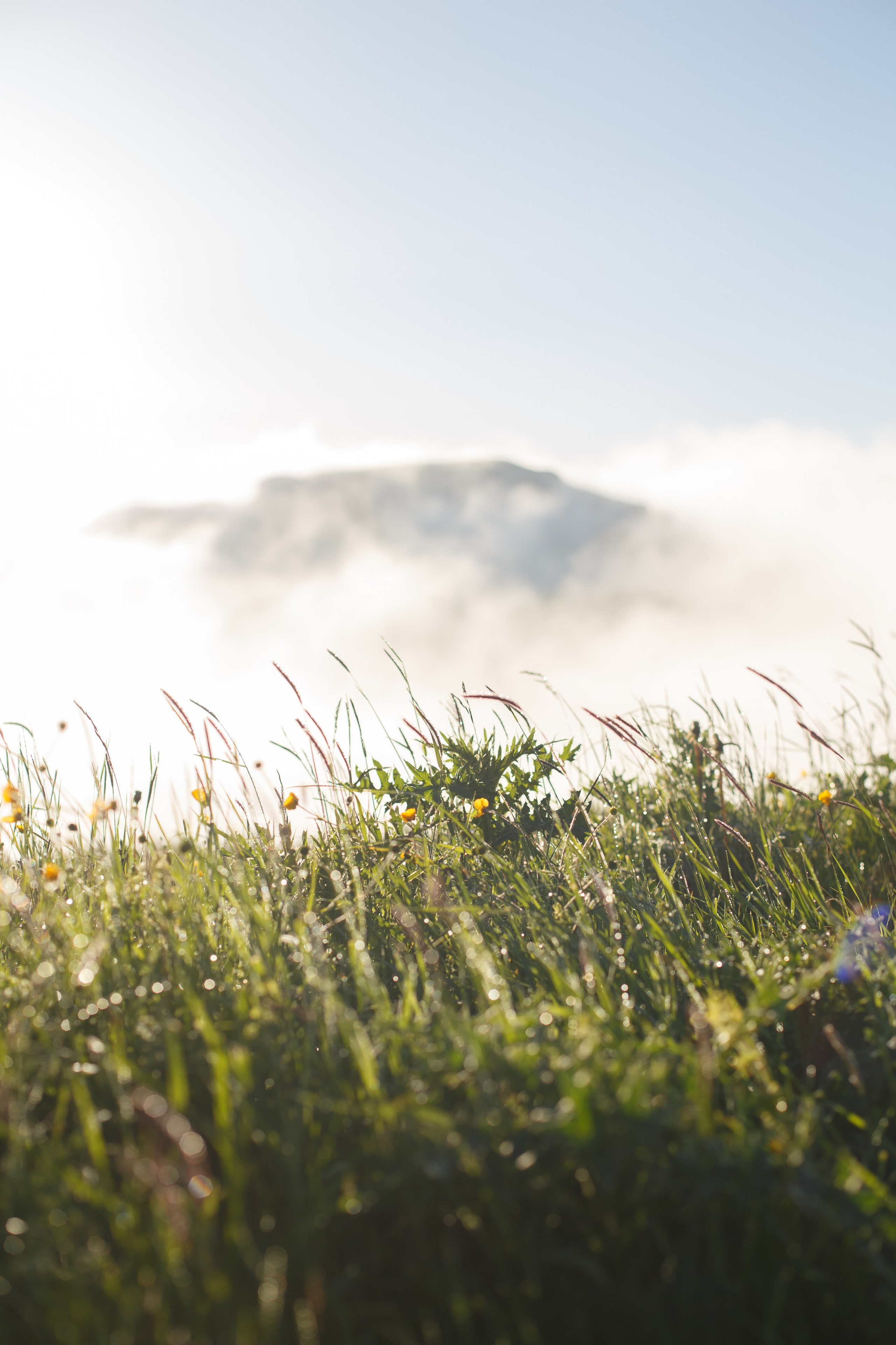 Фотосессия в горах Кавказа. Фотограф Ставрополь Пятигорск Елизавета Дарина