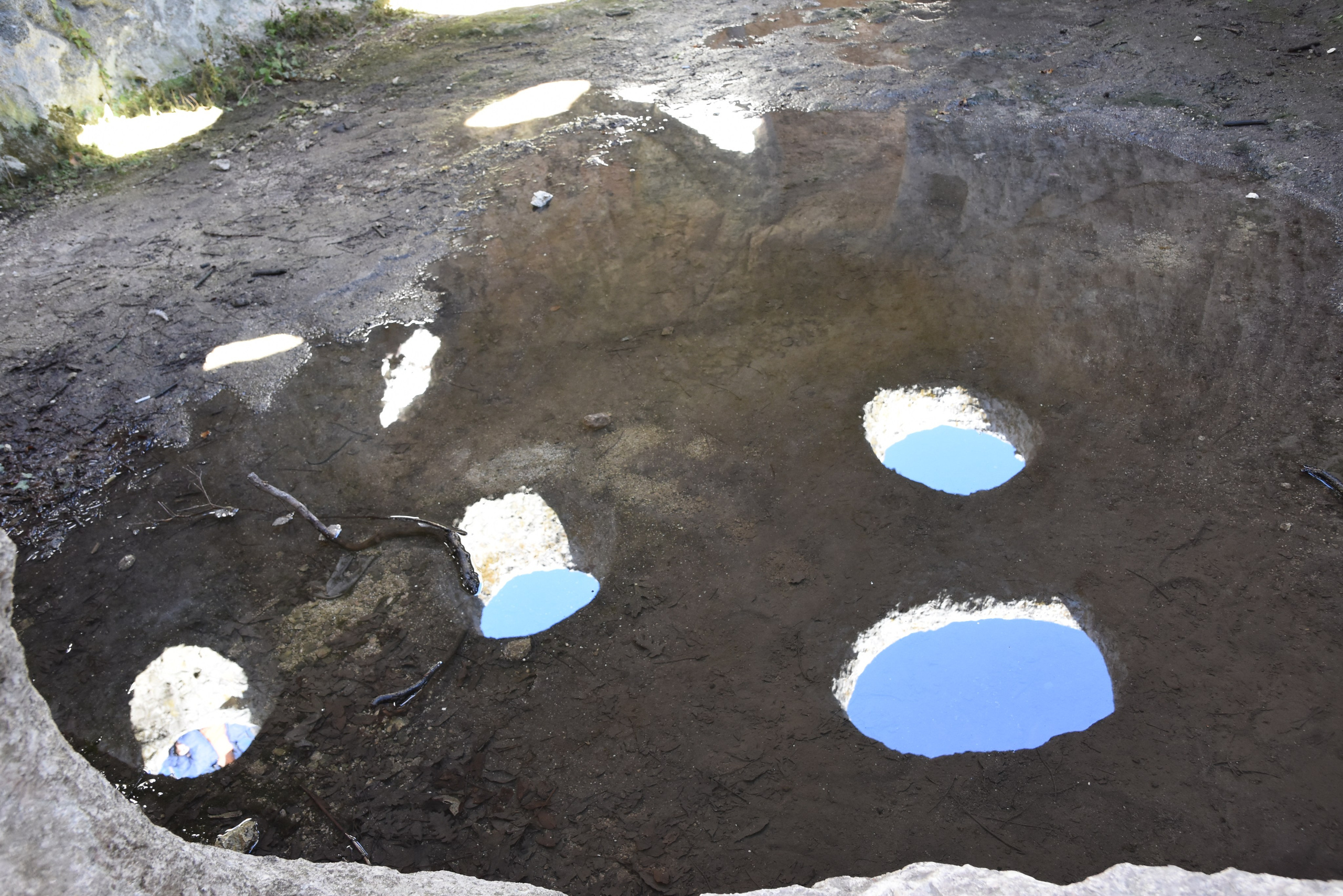 И это все о нем. Созерцатель. фотографирую что тронуло и впечатлило. самарская область