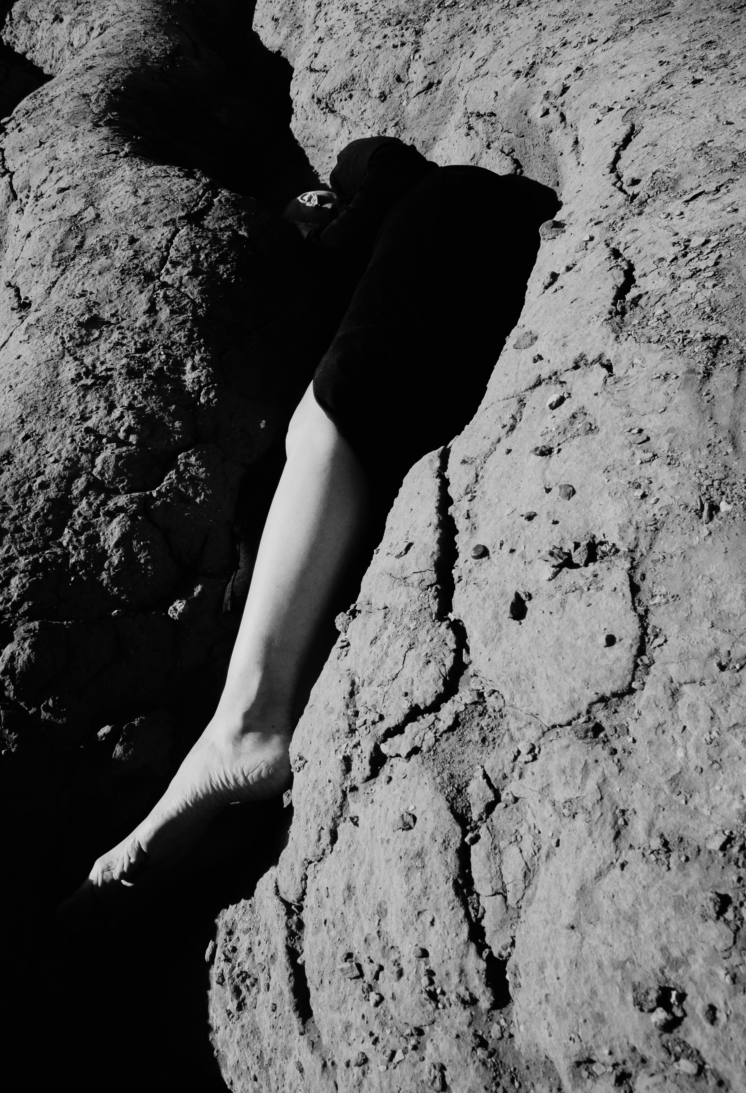 Постер. Lisphoto.ru