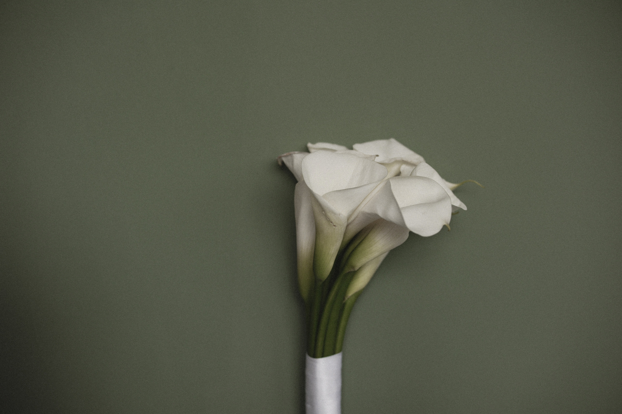 Смешинки. Свадебный фотограф в Ярославле Илья Жуков