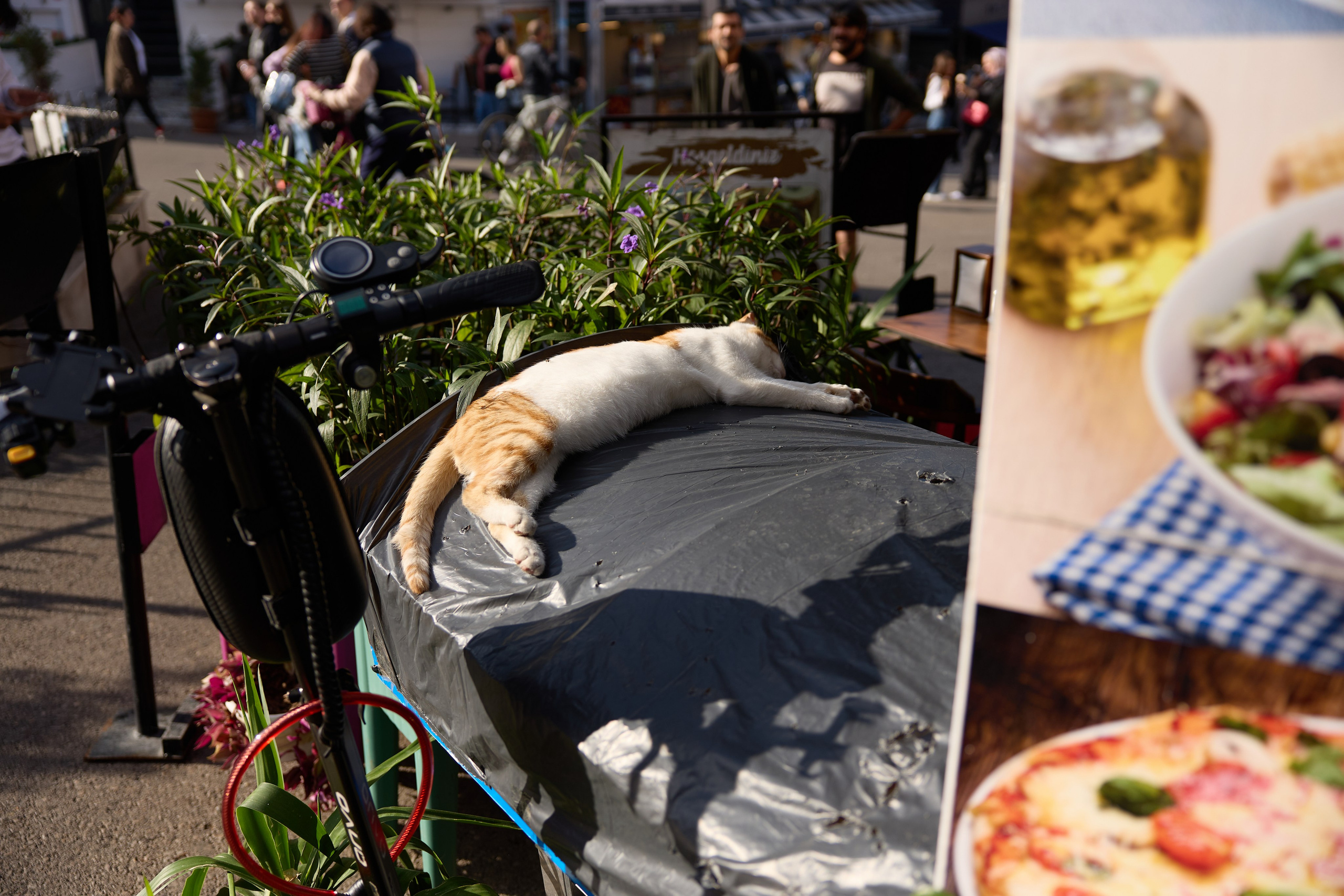 Стамбул 24. Фотограф Москва, Дима Пеллер