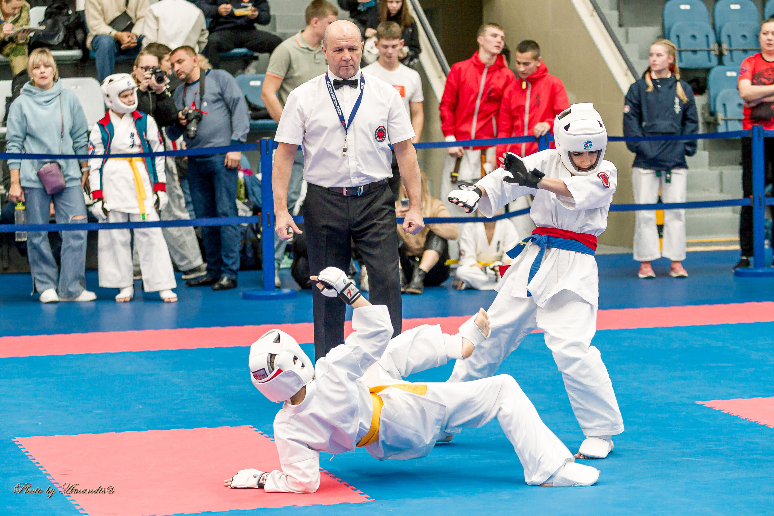 Чемпионат по Киокушинкай Центрального Федерального округа. Репортажная съемка в Москве и области. Анималистика