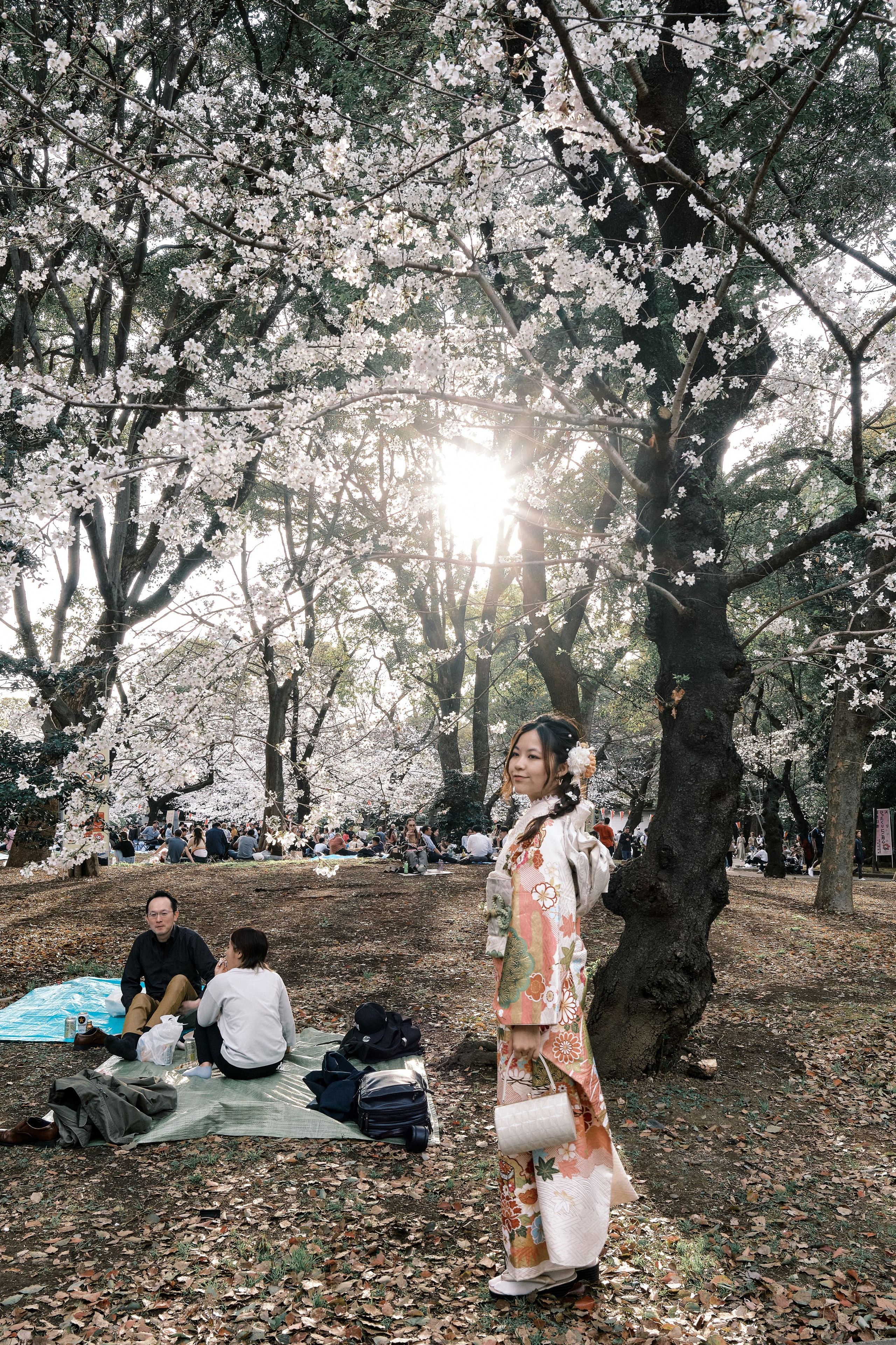 Japan / Osaka≫Kyoto≫Tokyo. Aleksandr Kobtsev