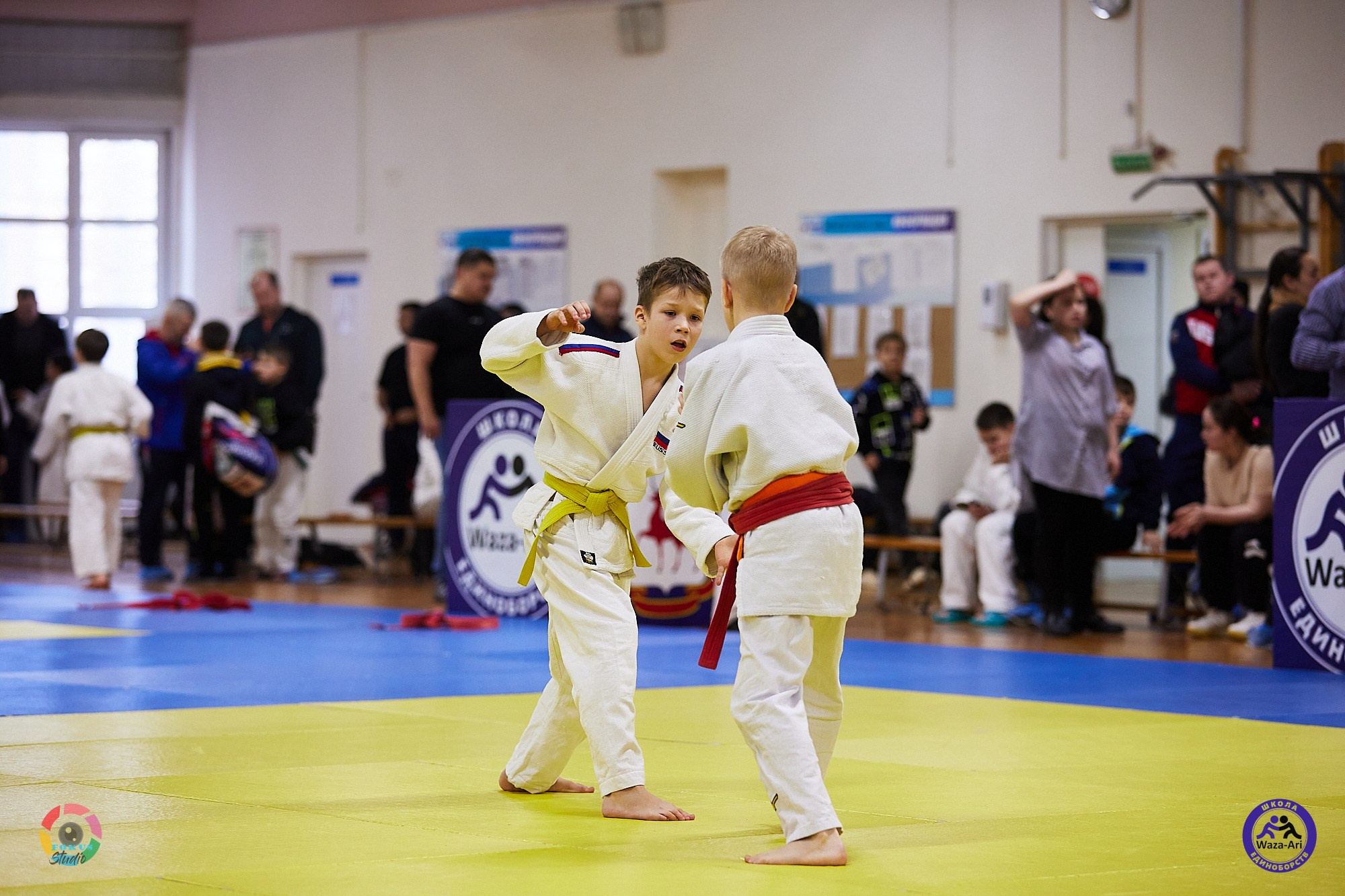 Репортаж Турнир по дзюдо. Спортивный фотограф Некрасов Денис