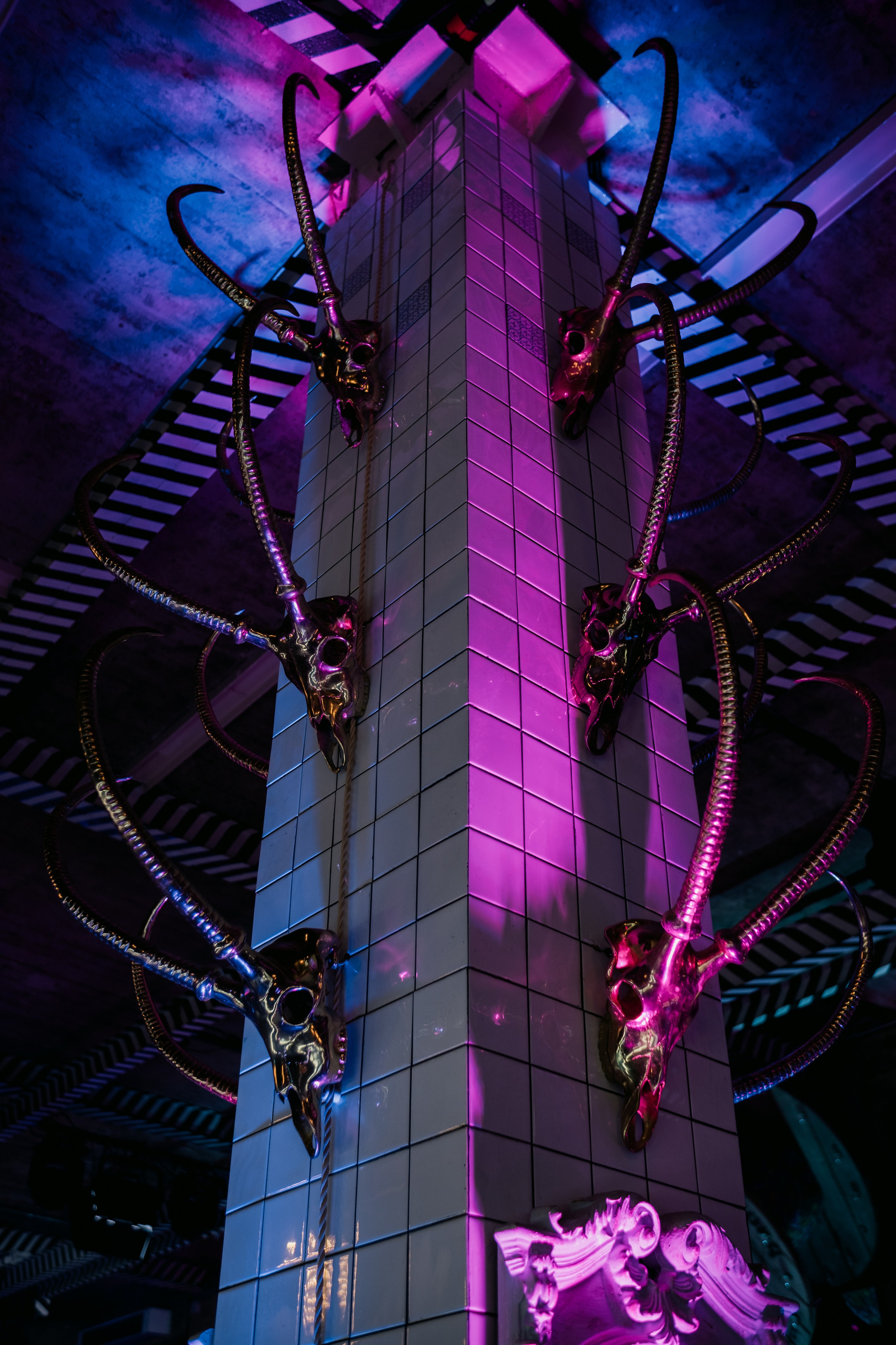 VK NIGHT SPb. Репортажный и портретный фотограф в Москве Илья Спиридонов