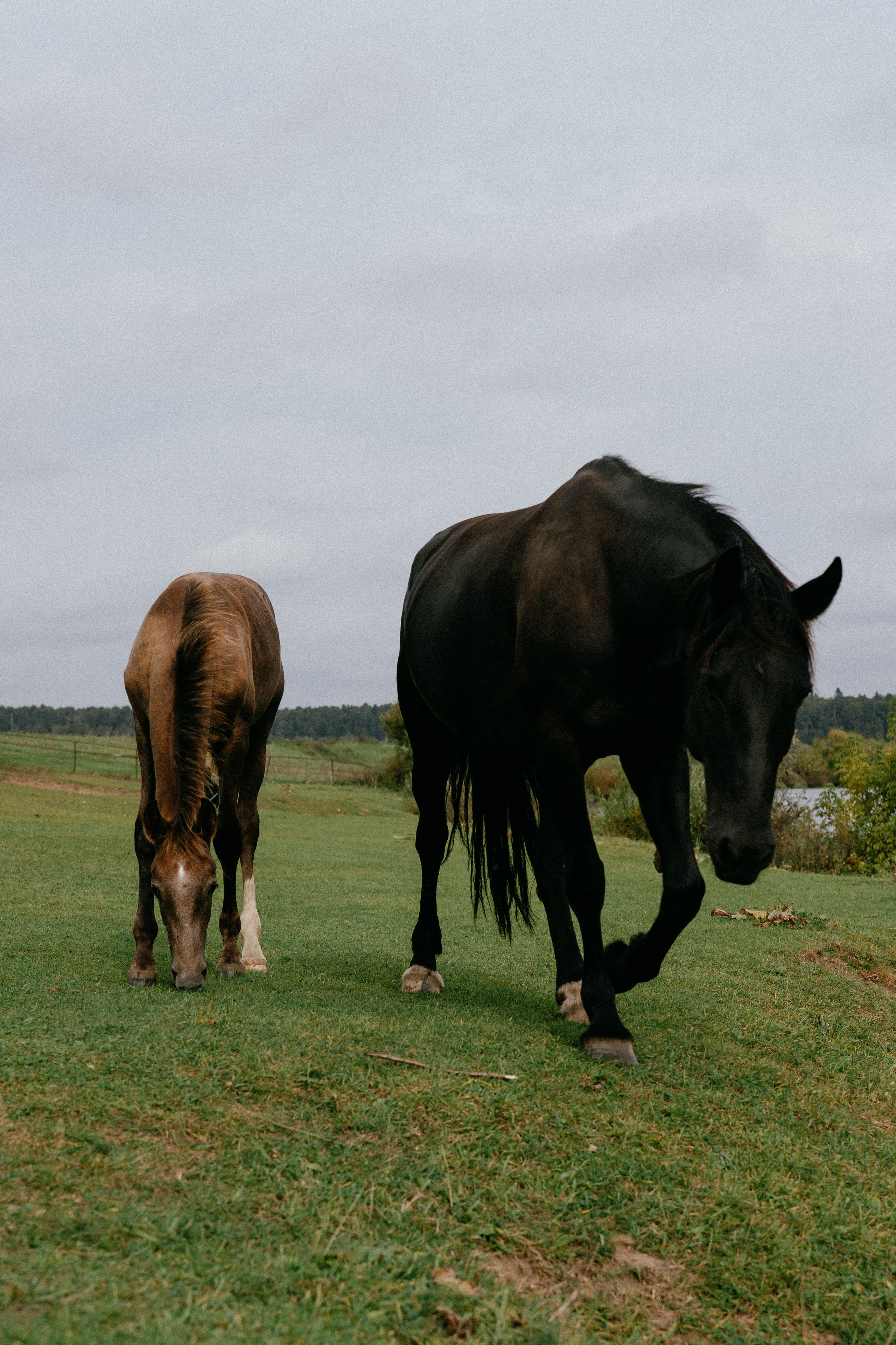 Liza. Фотограф в Москве Маша Игитова