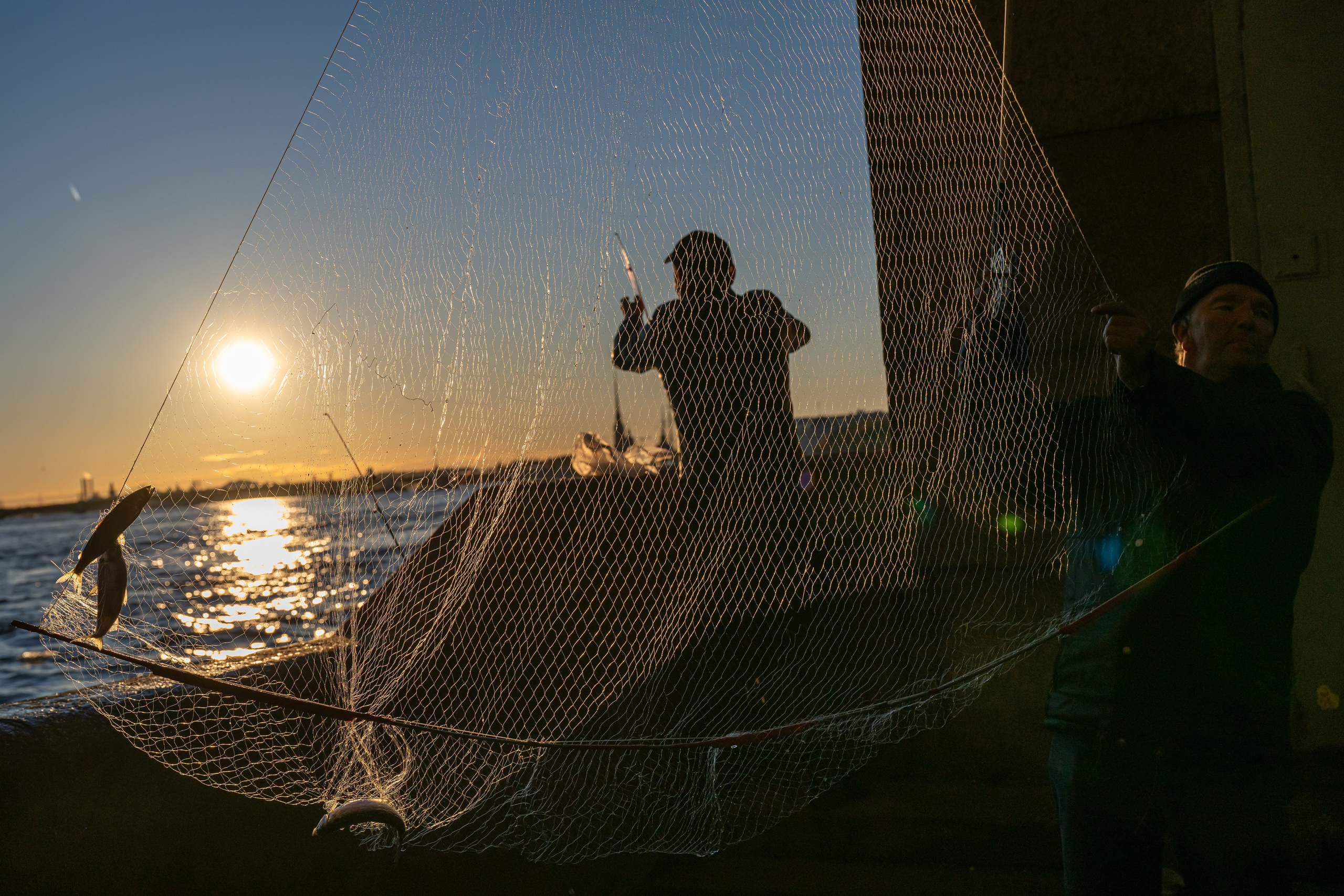 Dimitri Bakhtadze, street photos. Dimitri Bakhtadze photographer