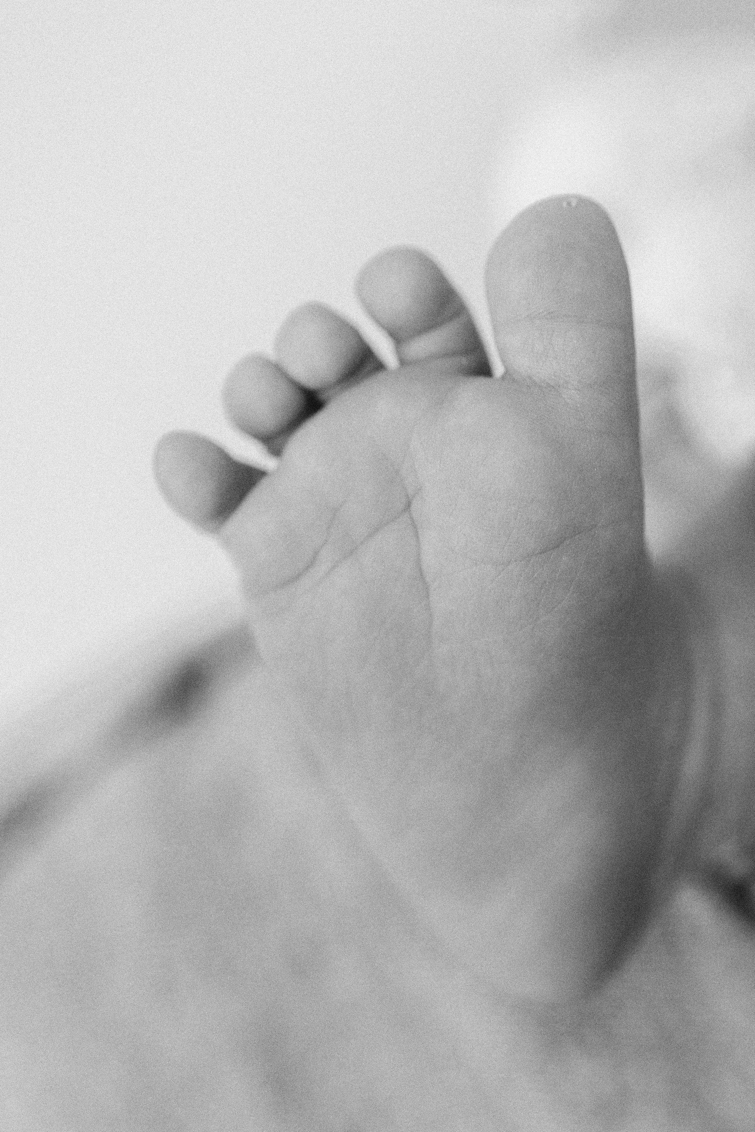 Newborn (14-30 дней). Фотограф Наталья Сабирова
