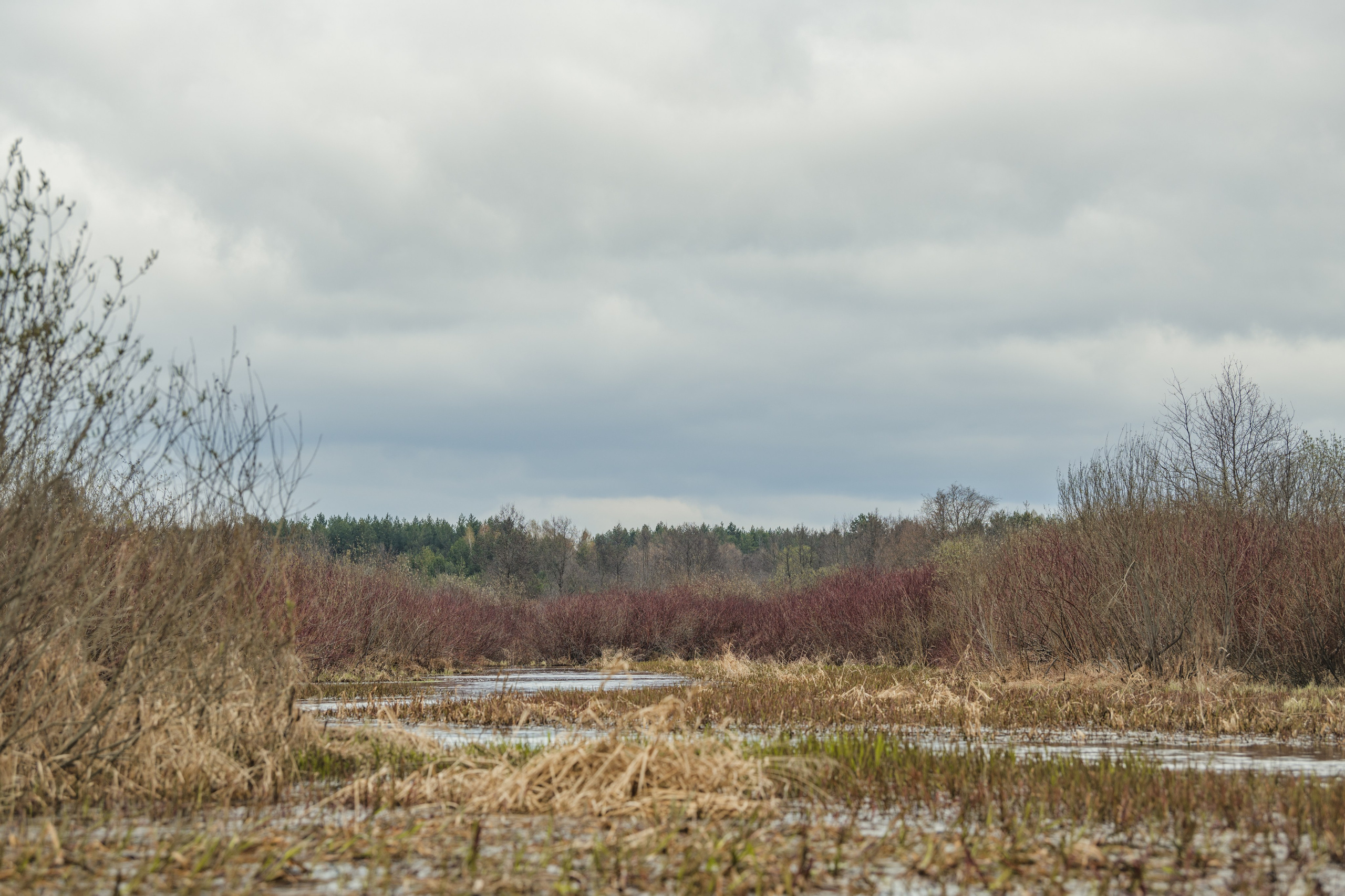 Разведка нового маршрута. Репортажный фотограф Владимир Беляй
