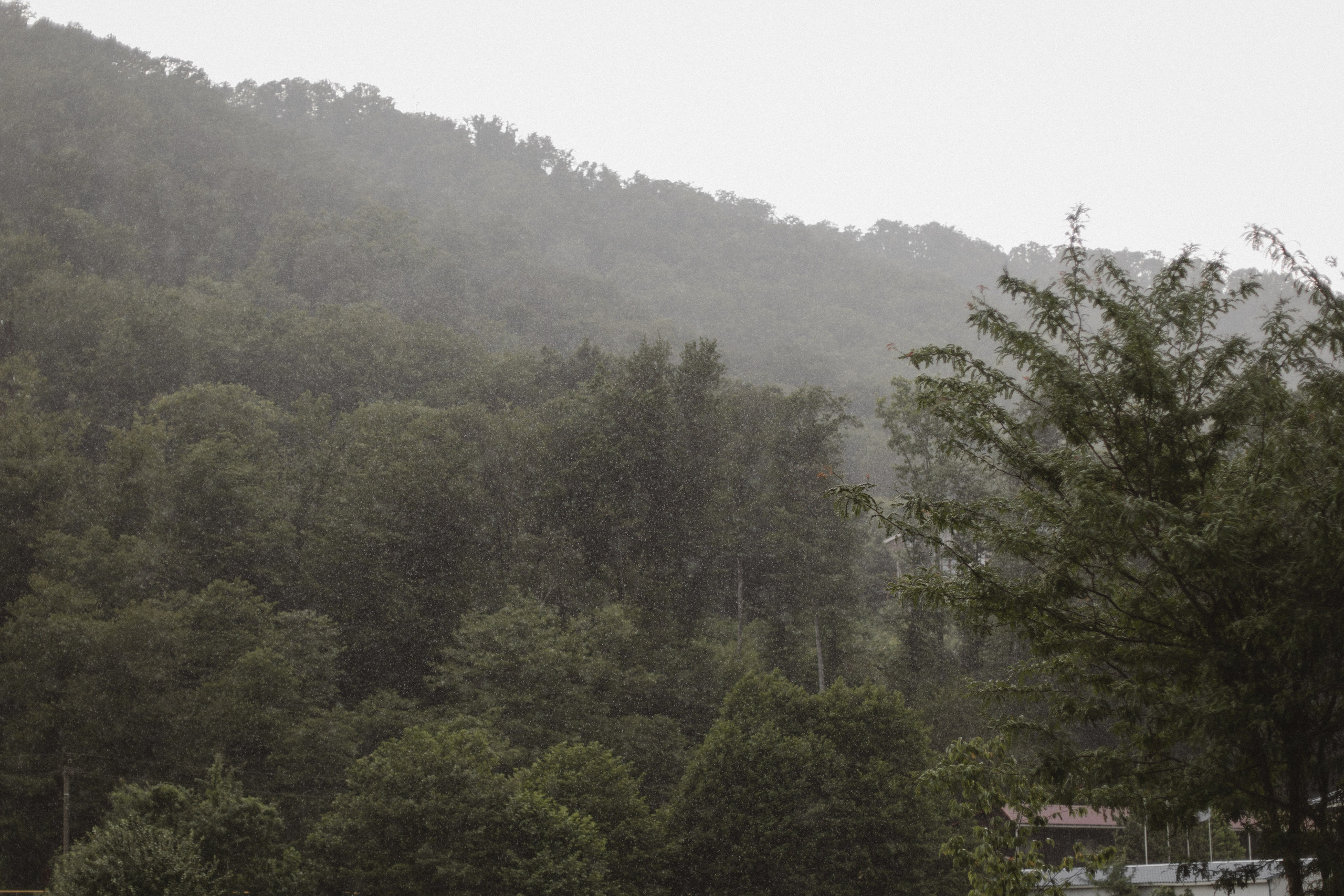 Свадьба в летний день с прогулкой в парке и свадебным ужином в загородной клубе. Свадебный, репортажный и портретный фотограф Сочи, Краснодар. Александра Зайцева