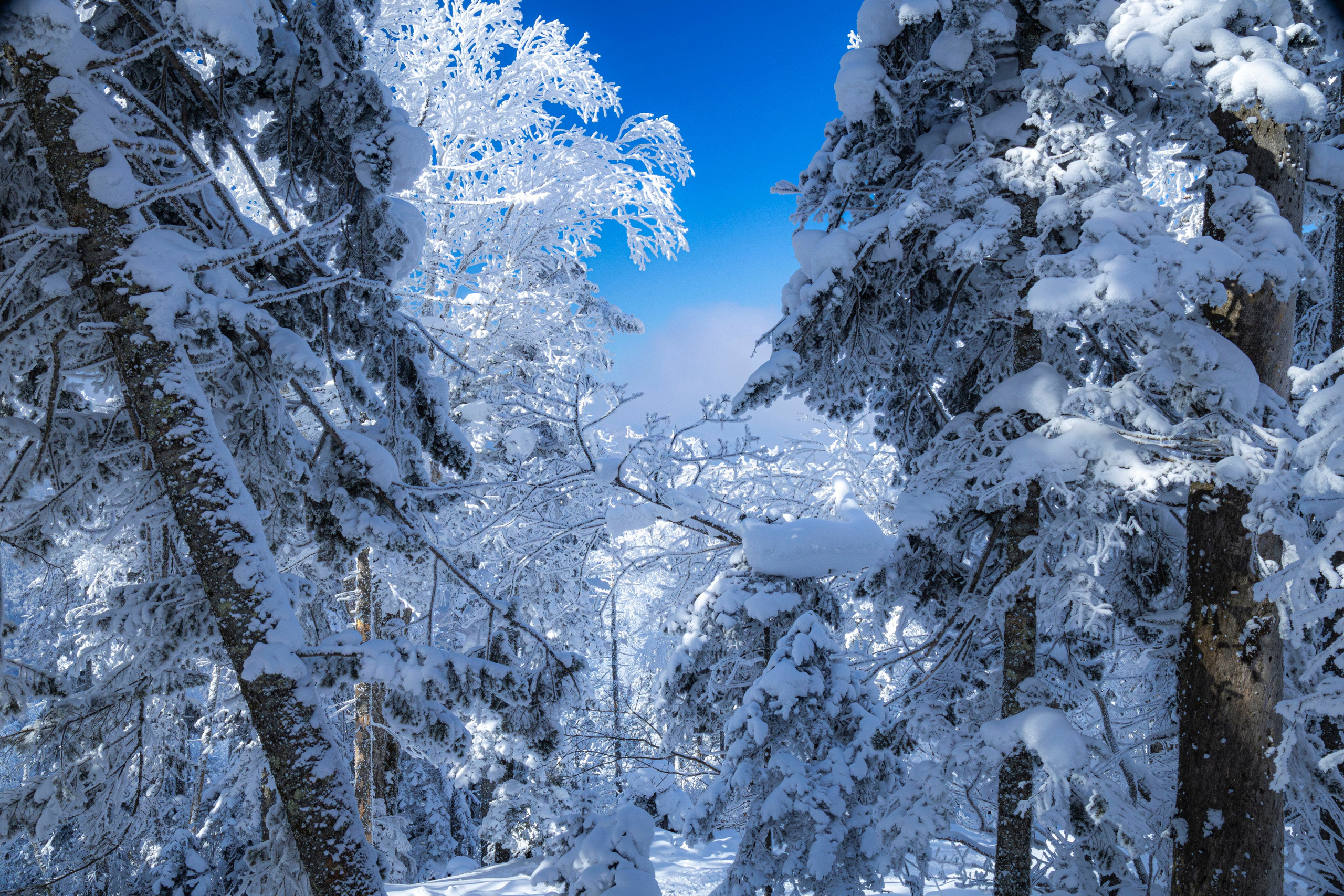Походы. Фотограф г. Владивосток
