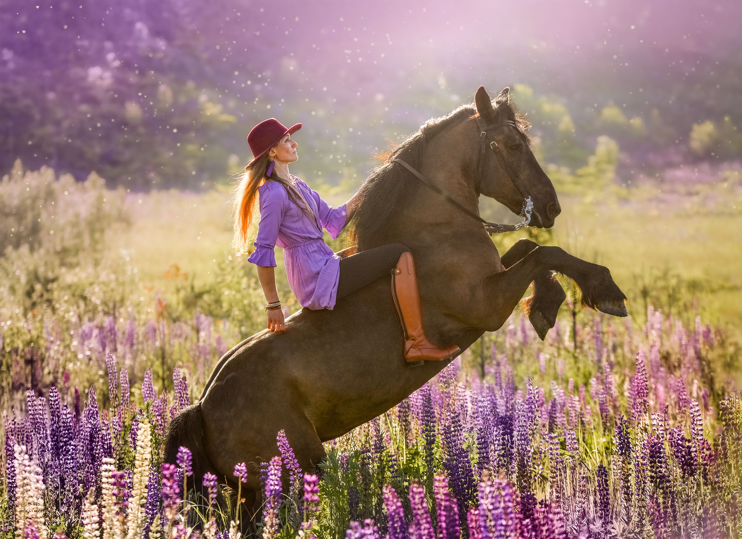 Съемки с лошадьми. Конный фотограф из Москвы Ирина Бондаркова