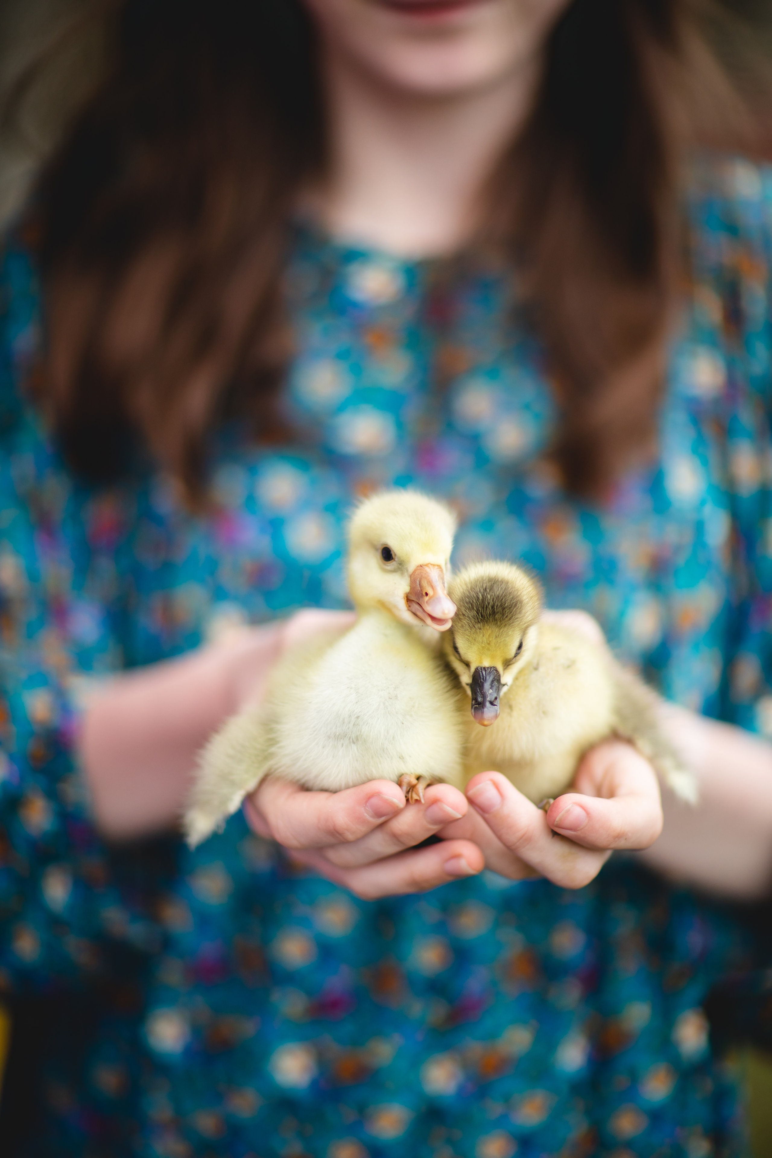 Фототуур «Край озёр» Лето. Семейный фотограф в Москве Анастасия Гурьянова